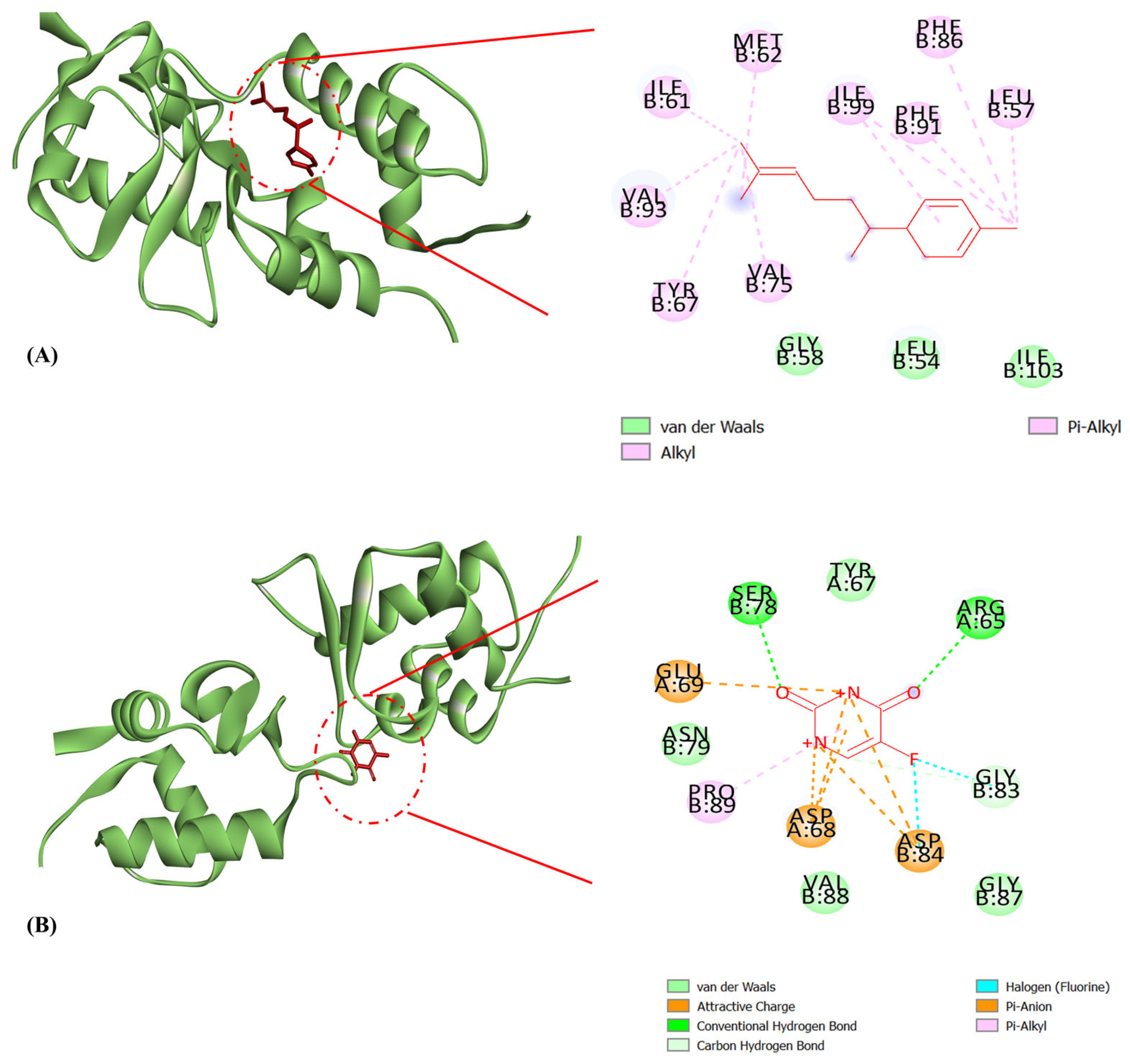 Molecules 29 03523 g009