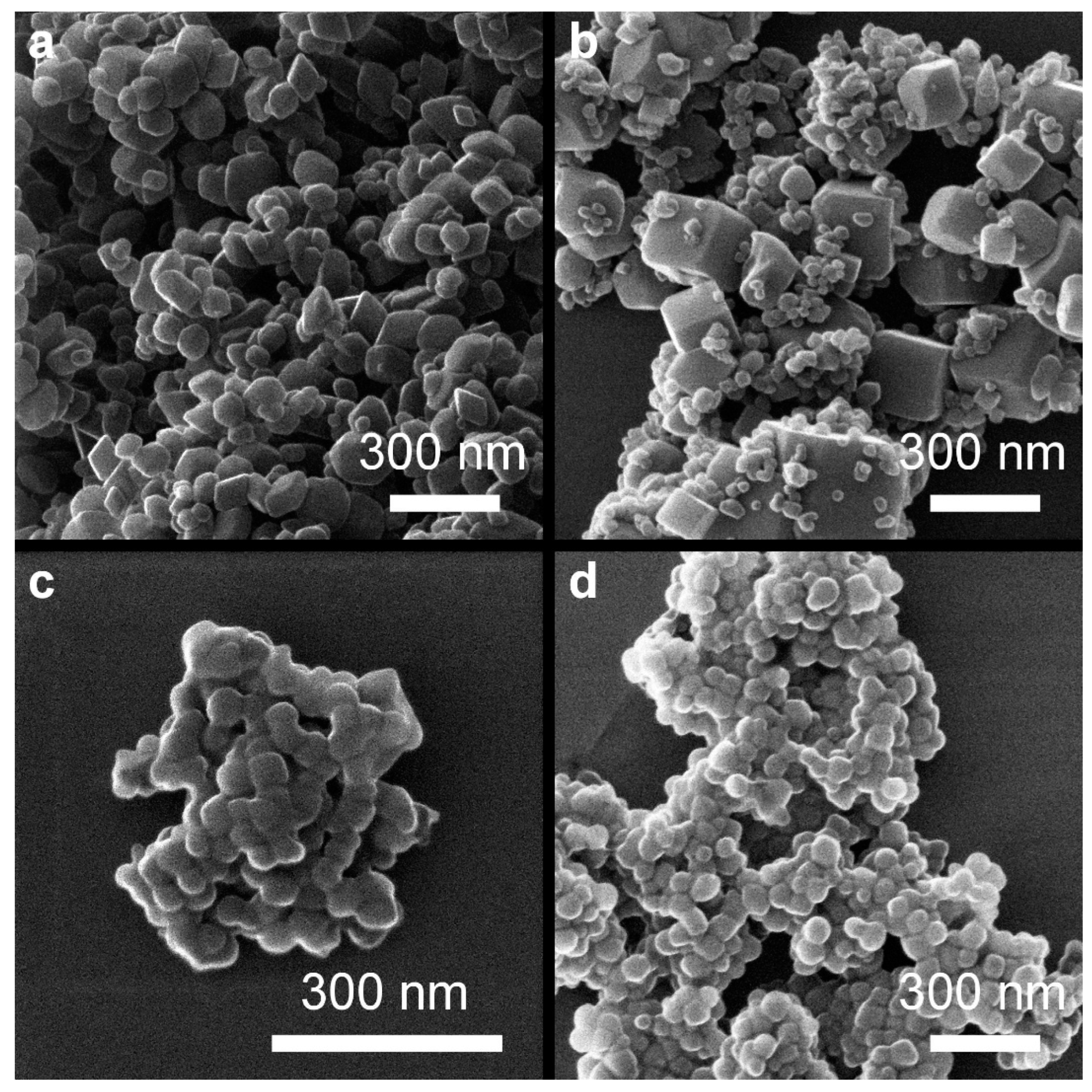 Molecules 29 03527 g006
