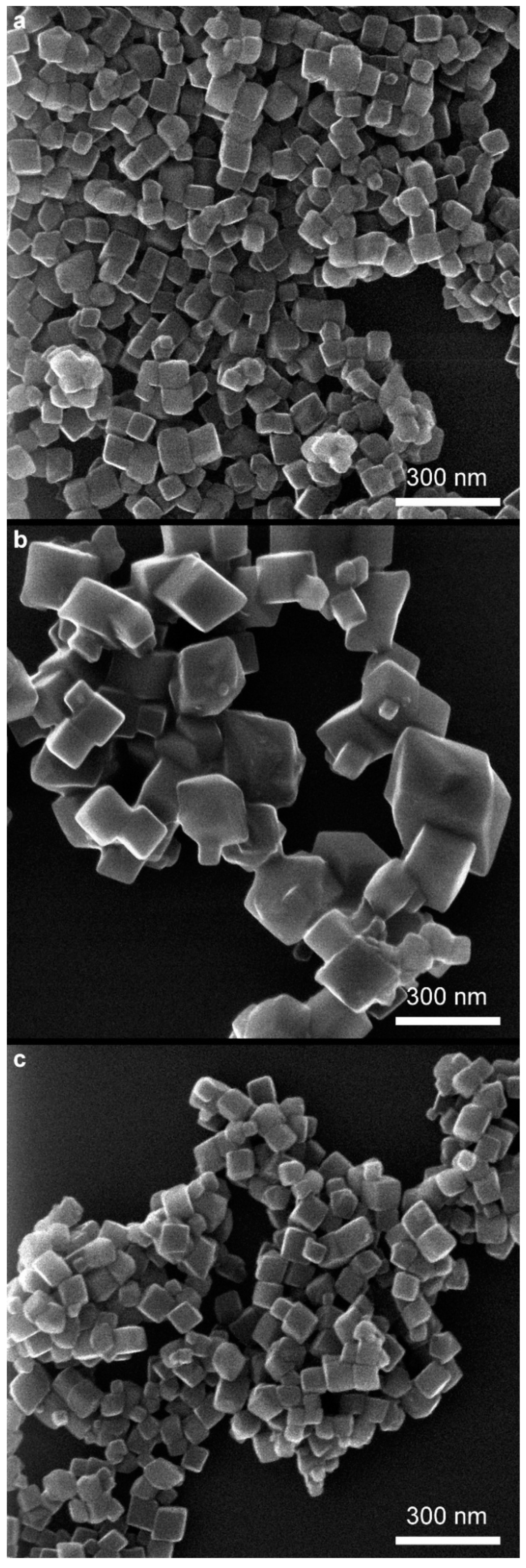 Molecules 29 03527 g007