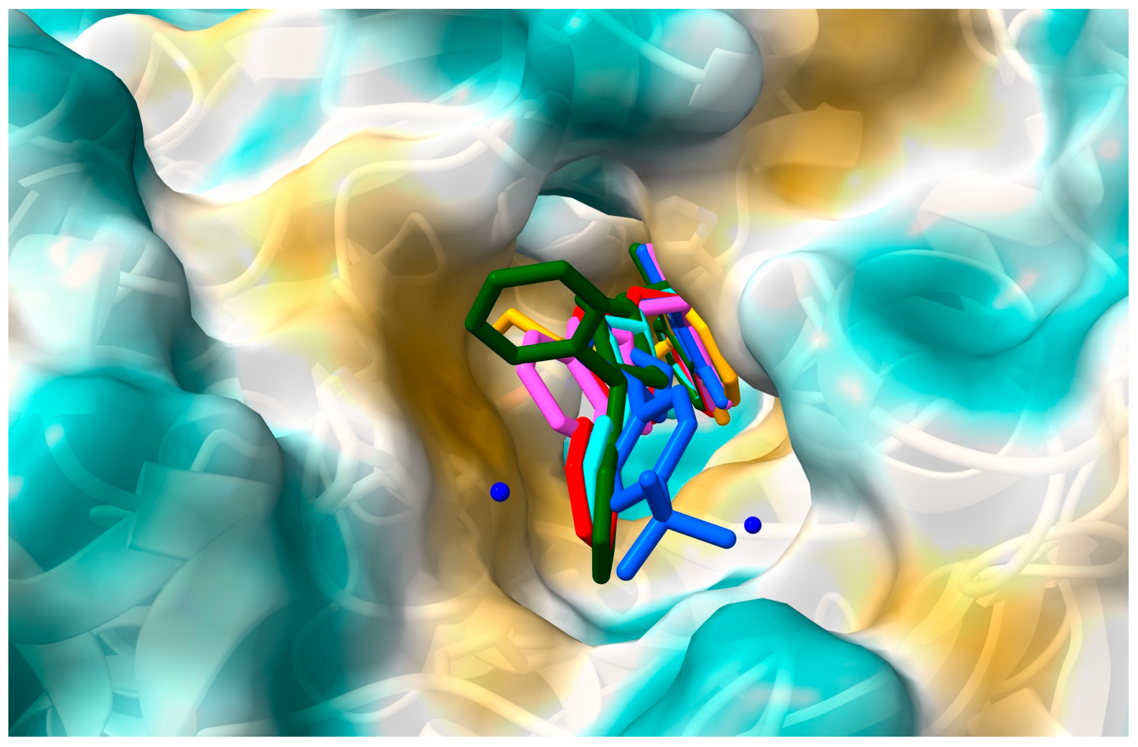 Molecules 29 03528 g002