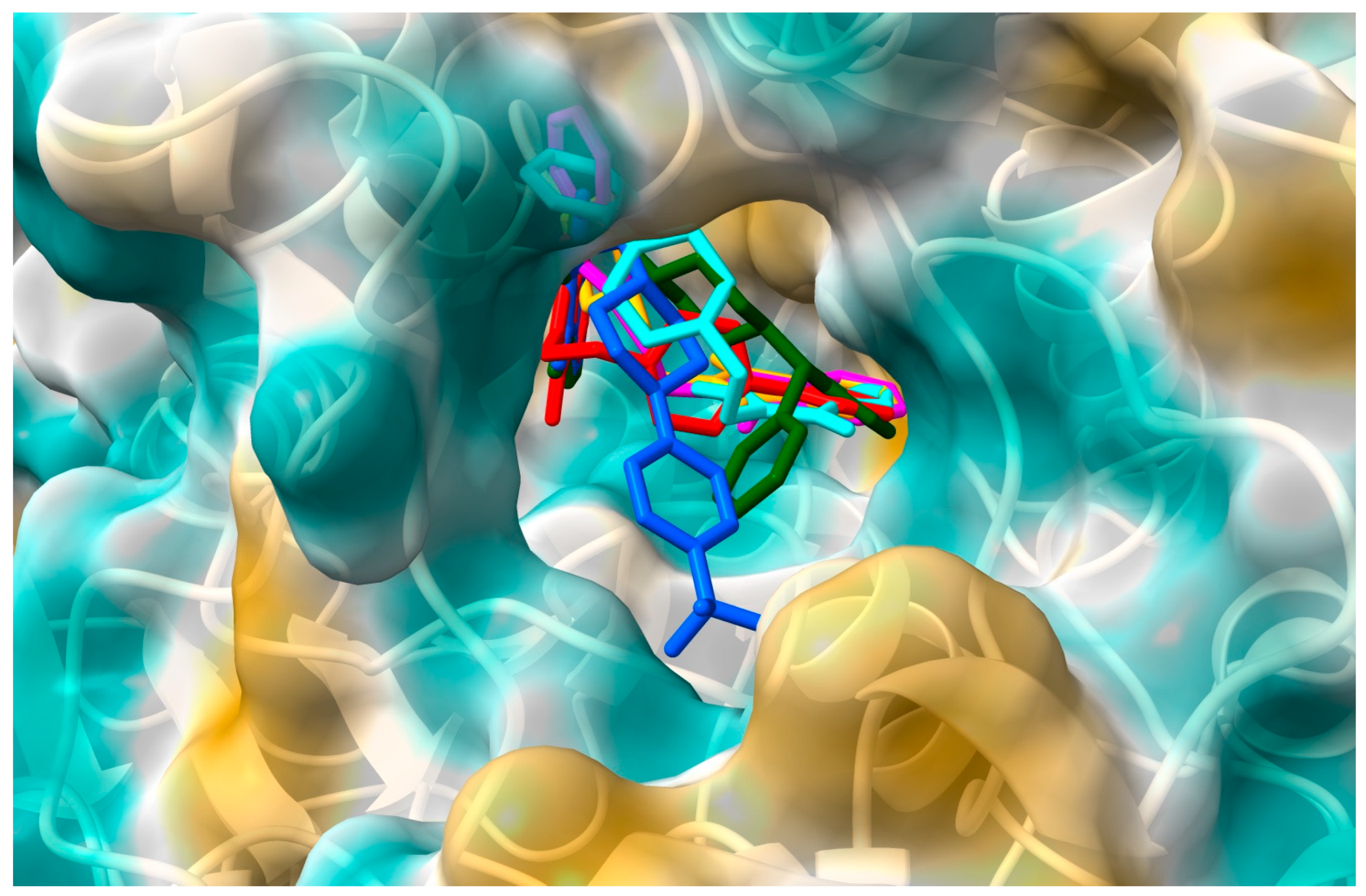 Molecules 29 03528 g005