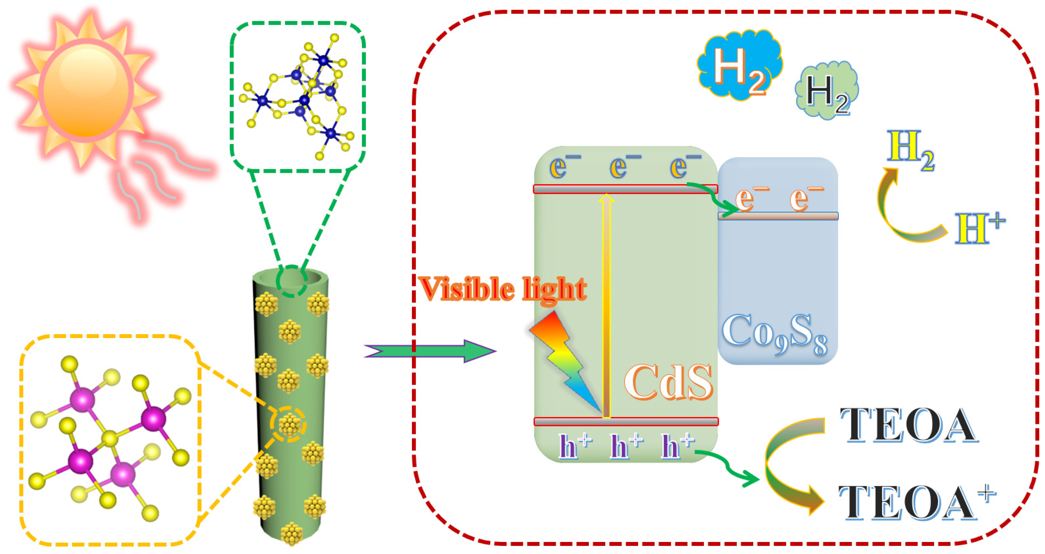 Molecules 29 03530 g009