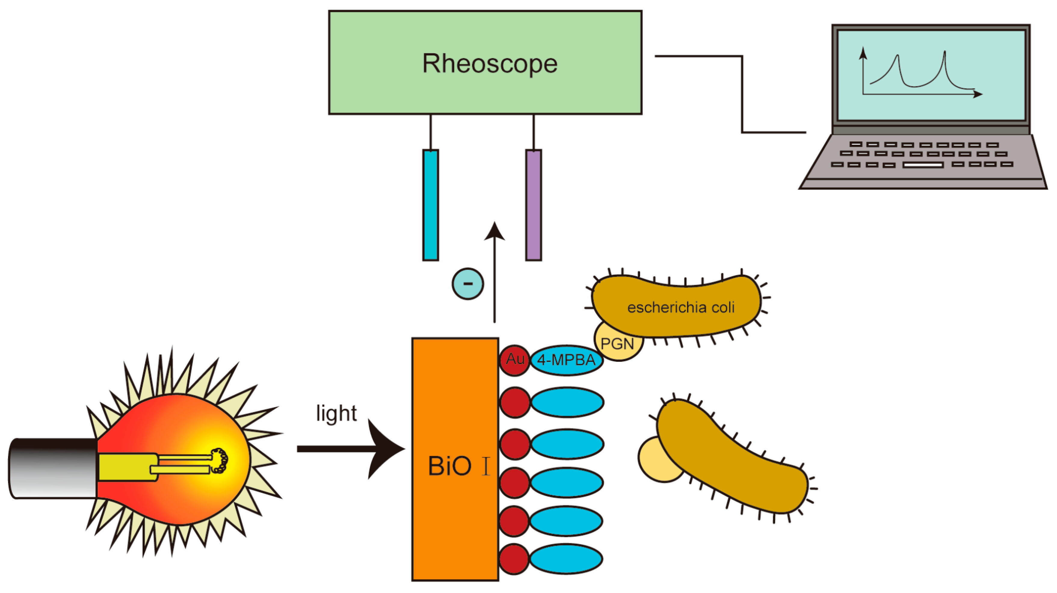 Molecules 29 03534 g003