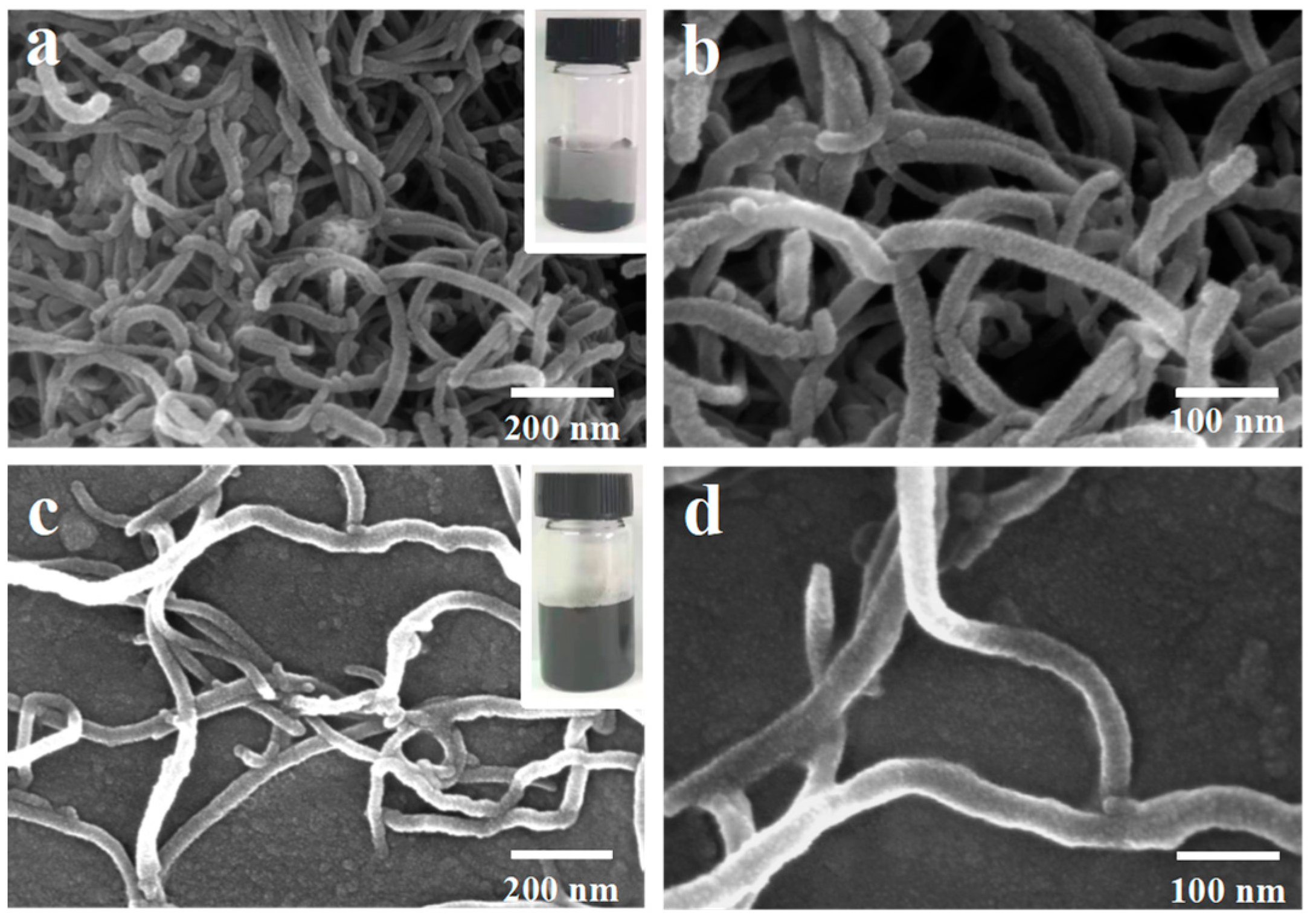 Molecules 29 03535 g003