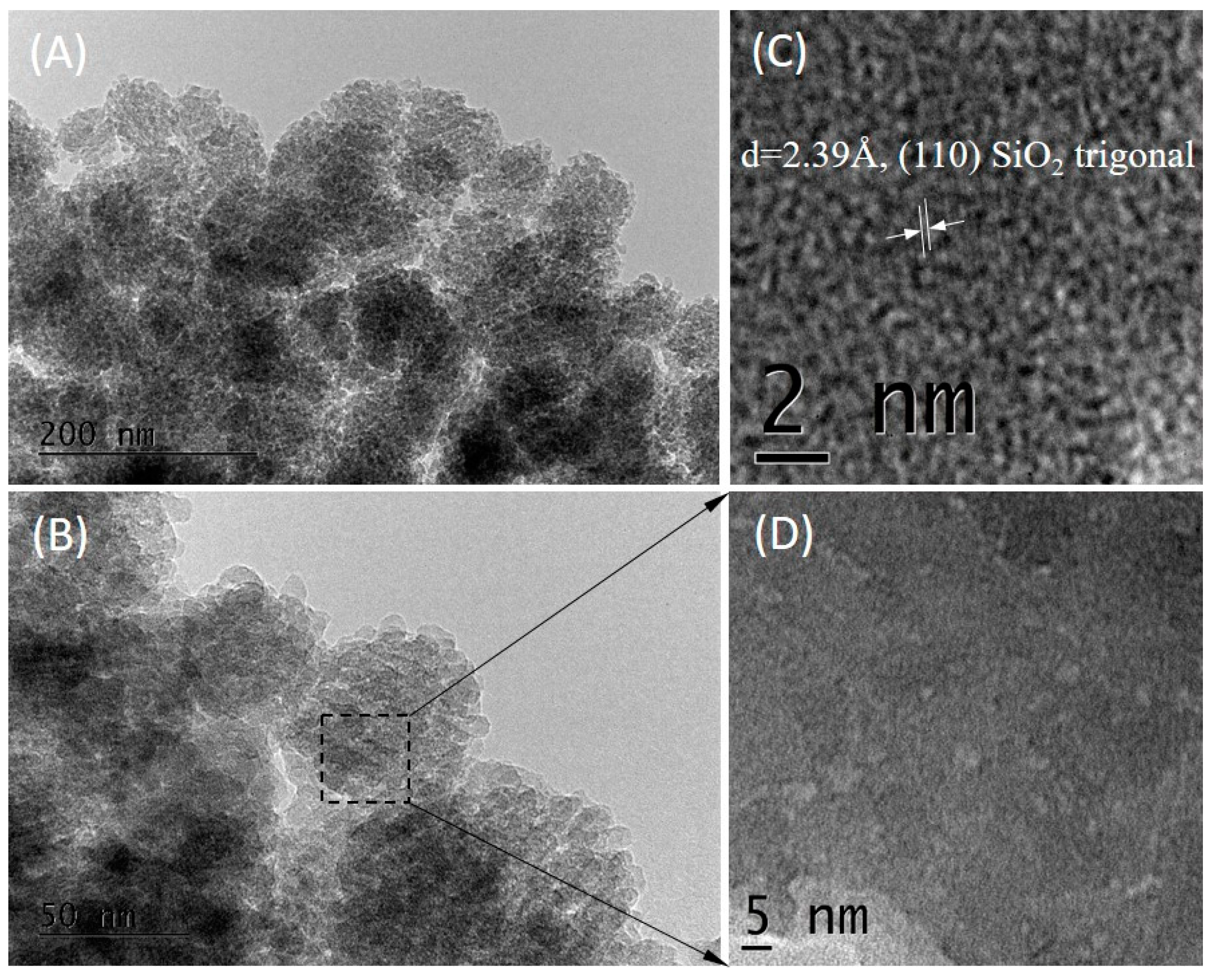 Molecules 29 03540 g005