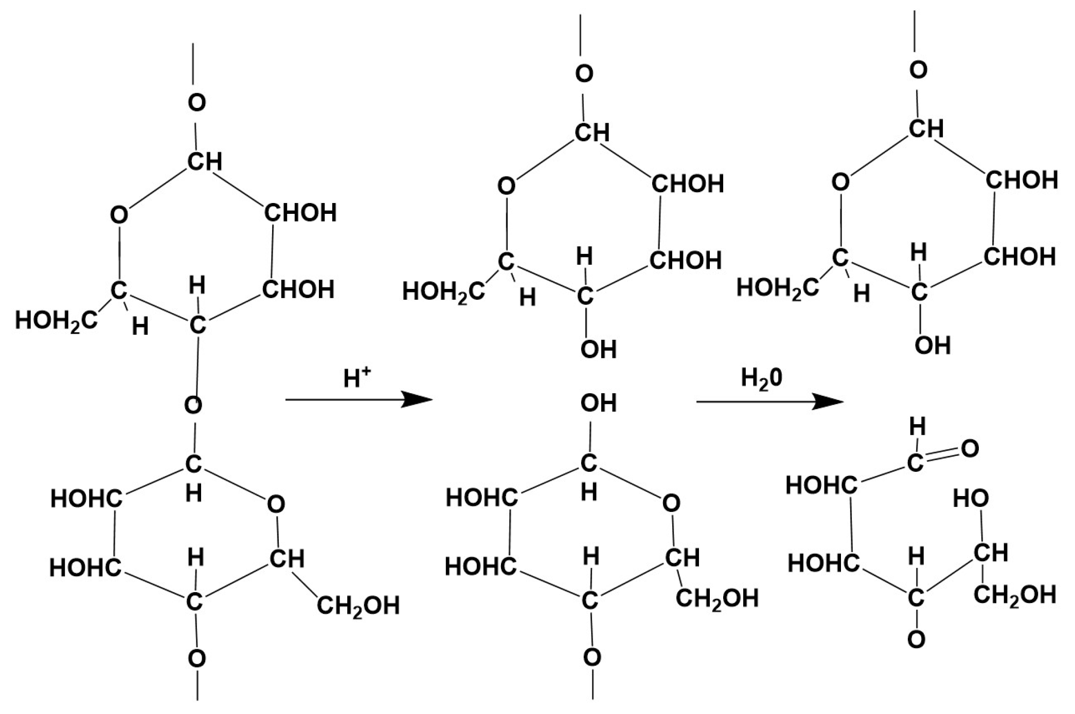 Molecules 29 03541 g002