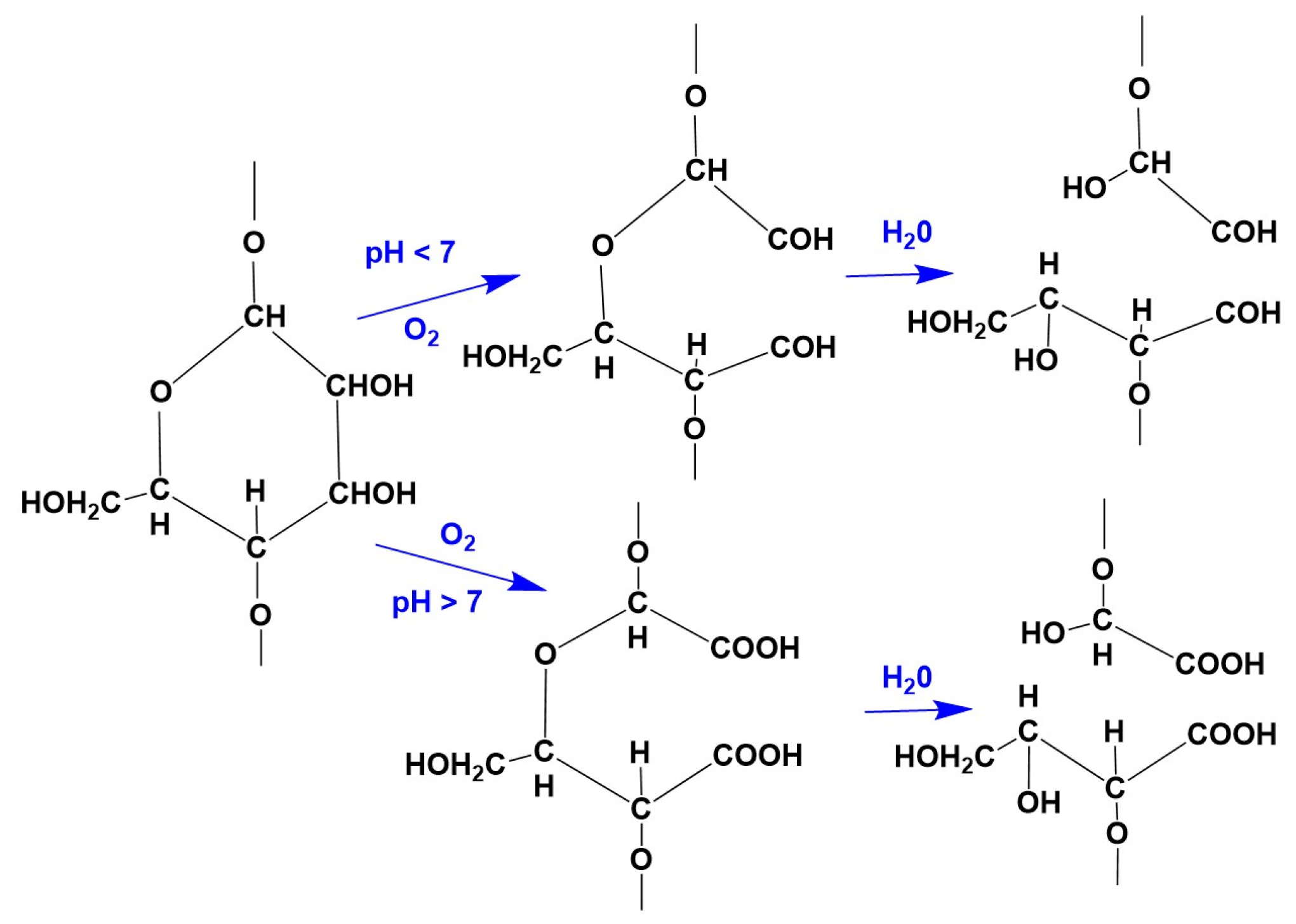 Molecules 29 03541 g003