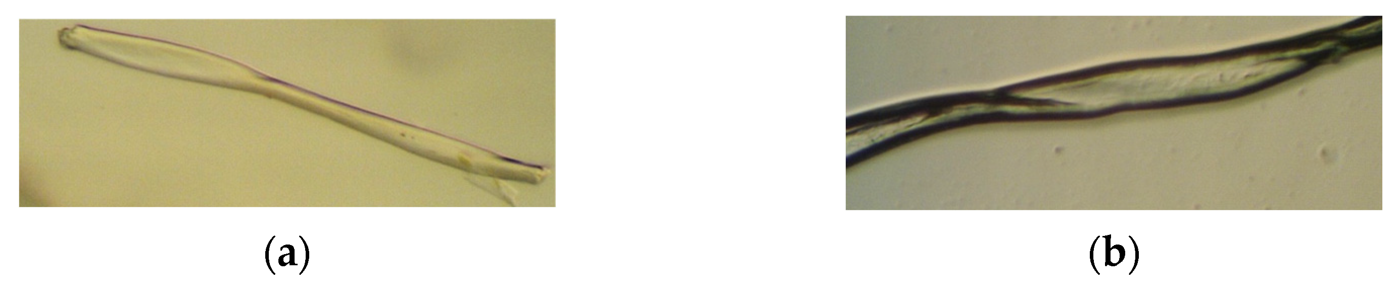 Molecules 29 03541 g010