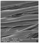 Molecules 29 03541 i007