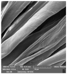 Molecules 29 03541 i009