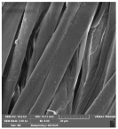 Molecules 29 03541 i011