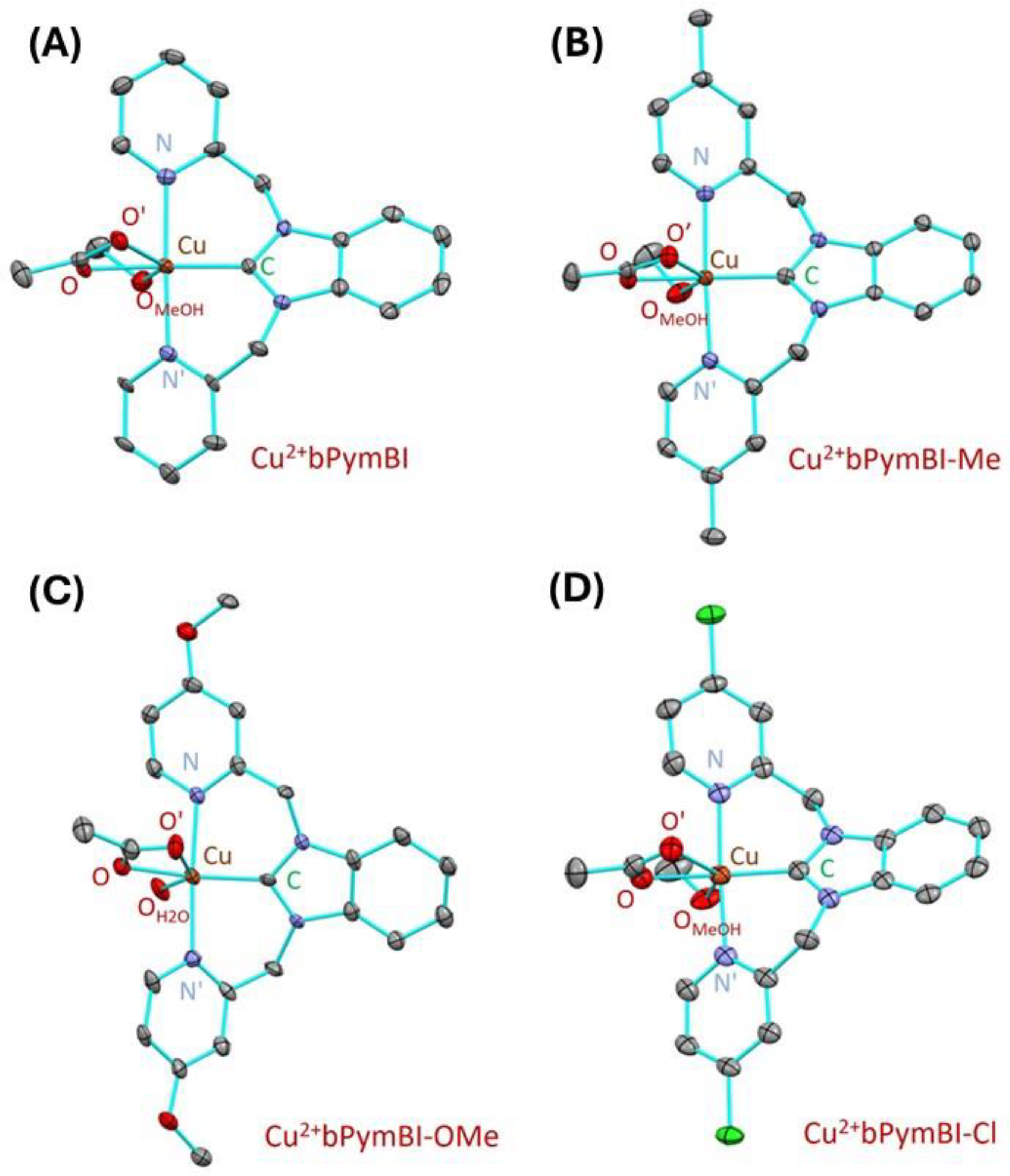 Molecules 29 03542 g003