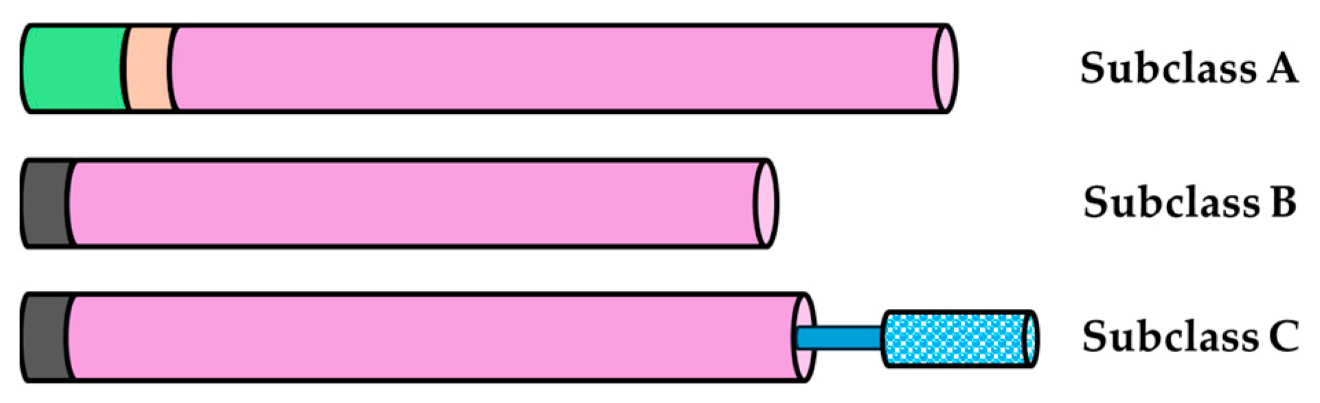 Molecules 29 03556 g001 Molecules 29 03556 g001