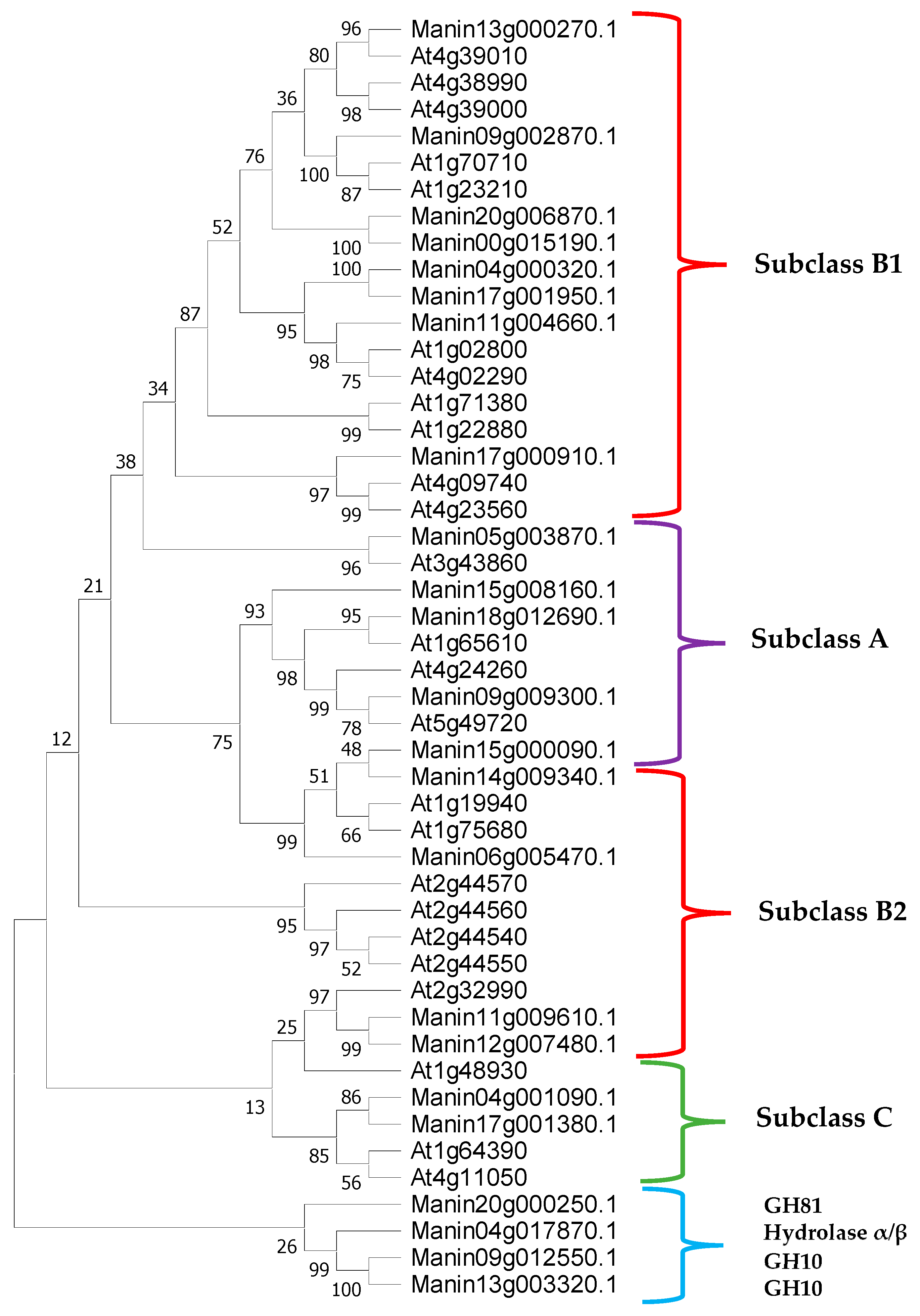 Molecules 29 03556 g002 Molecules 29 03556 g002