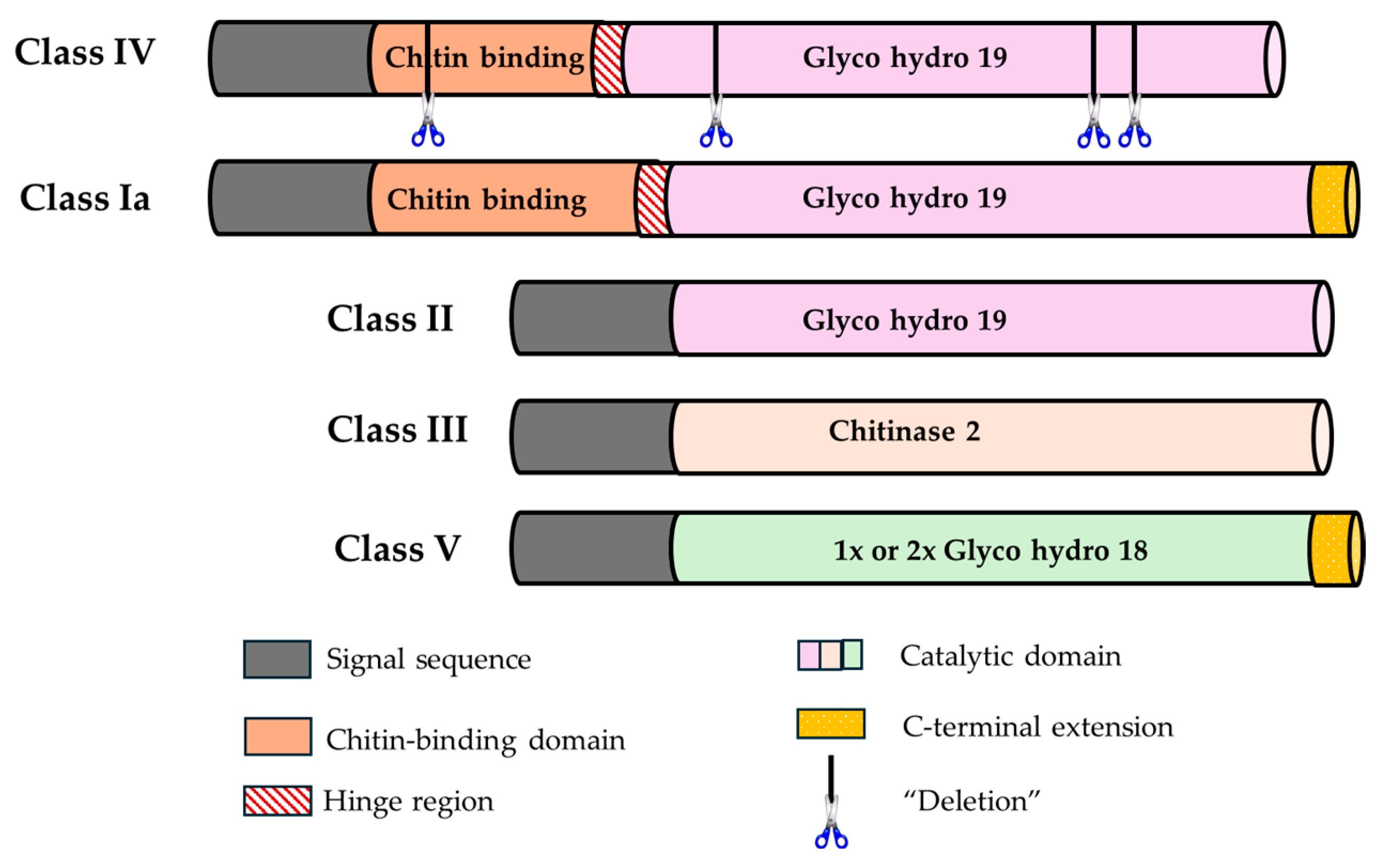 Molecules 29 03556 g003 Molecules 29 03556 g003