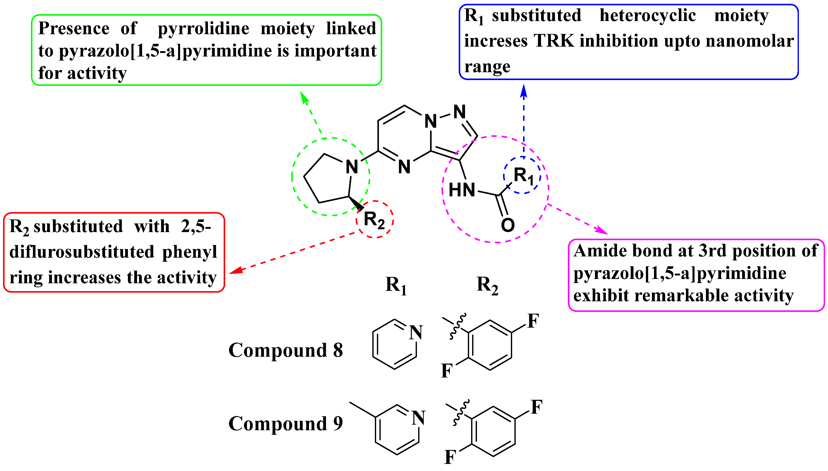 Molecules 29 03560 g005