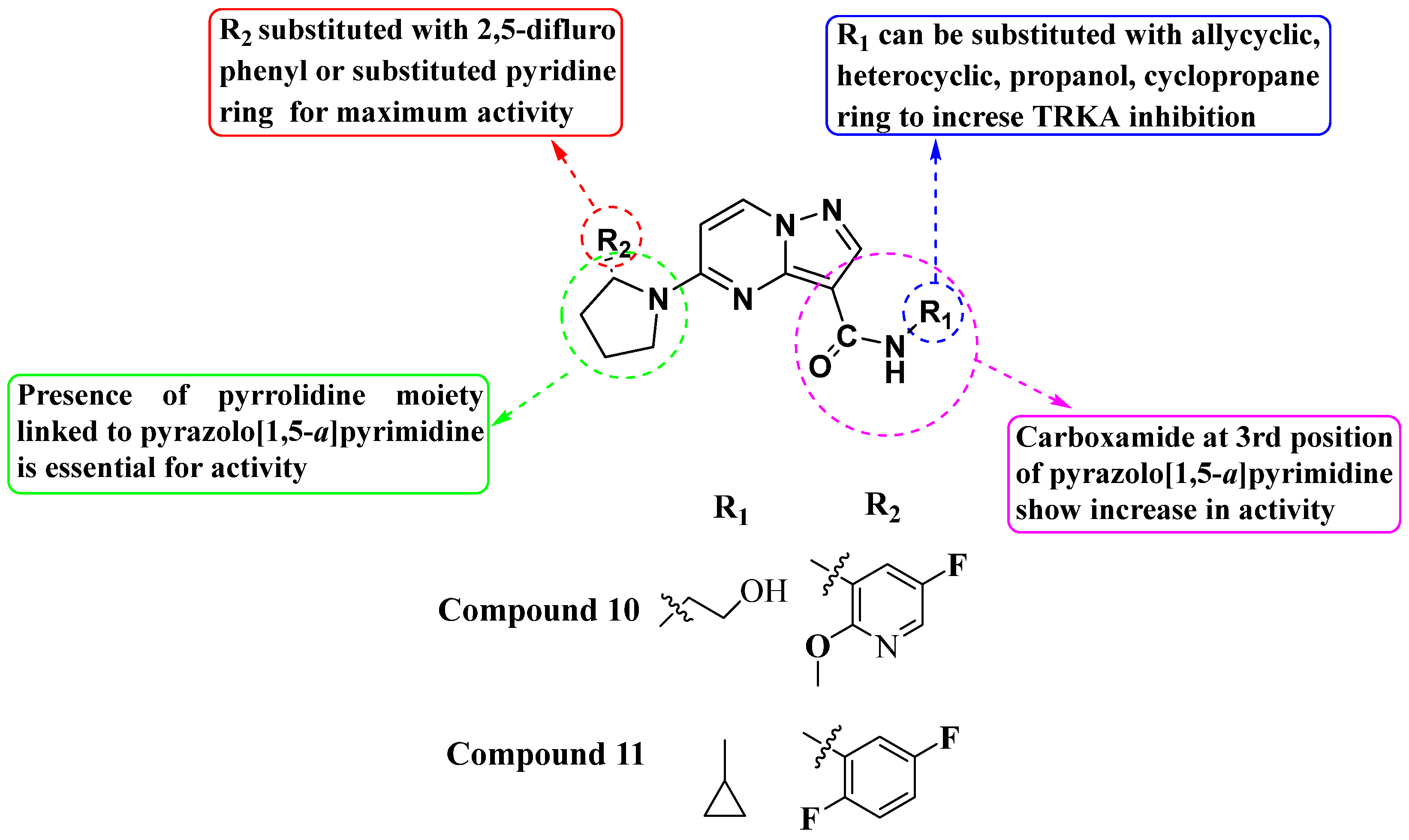 Molecules 29 03560 g006