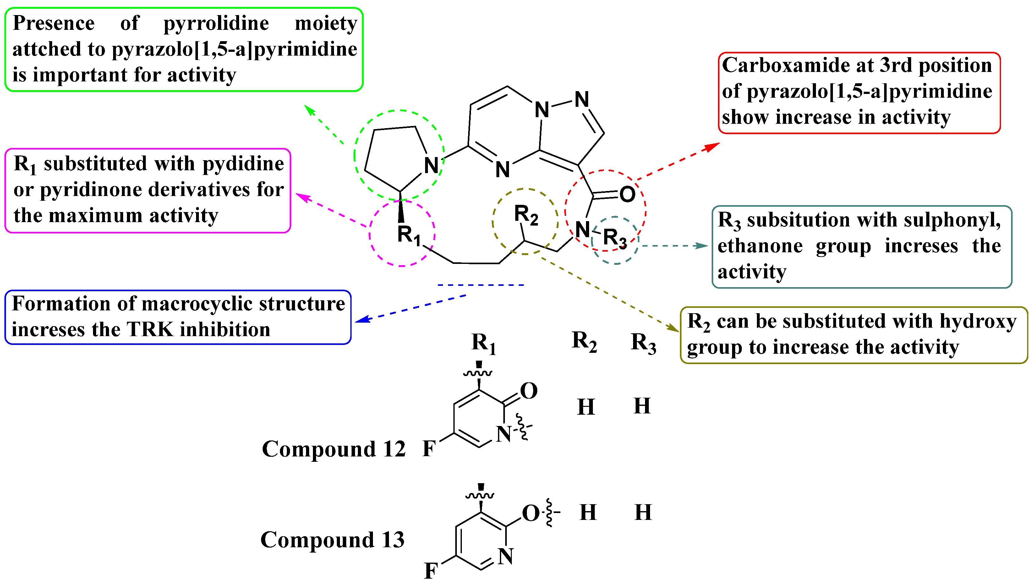 Molecules 29 03560 g007