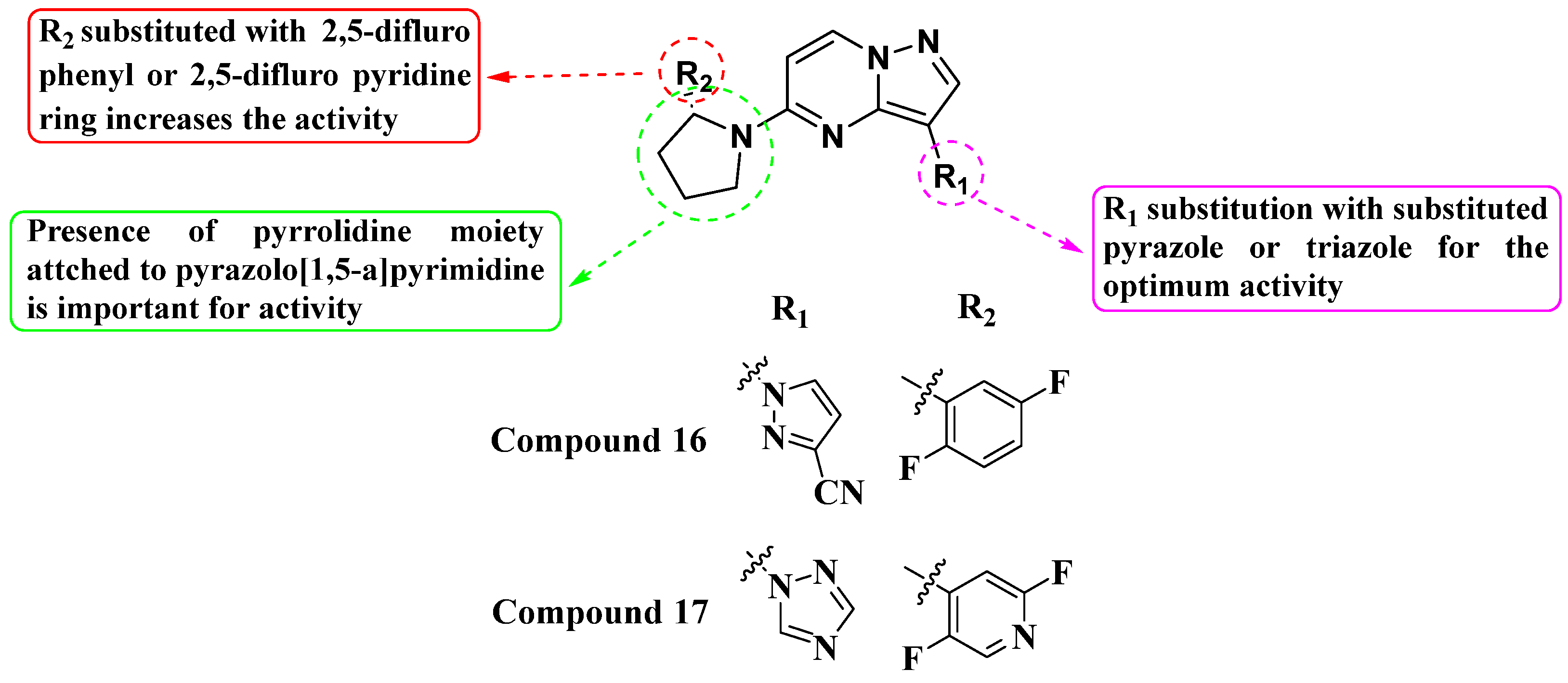 Molecules 29 03560 g009