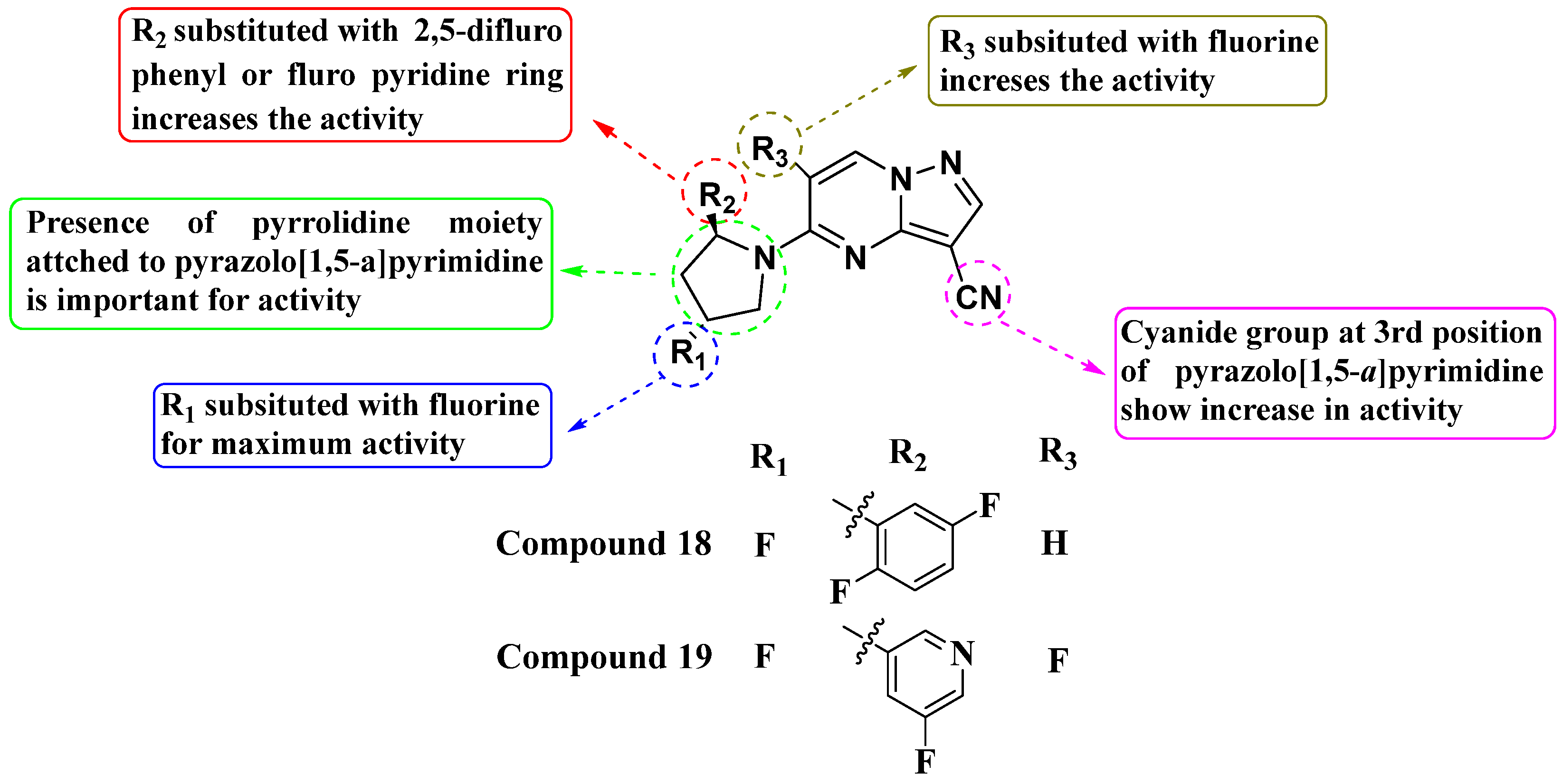 Molecules 29 03560 g010