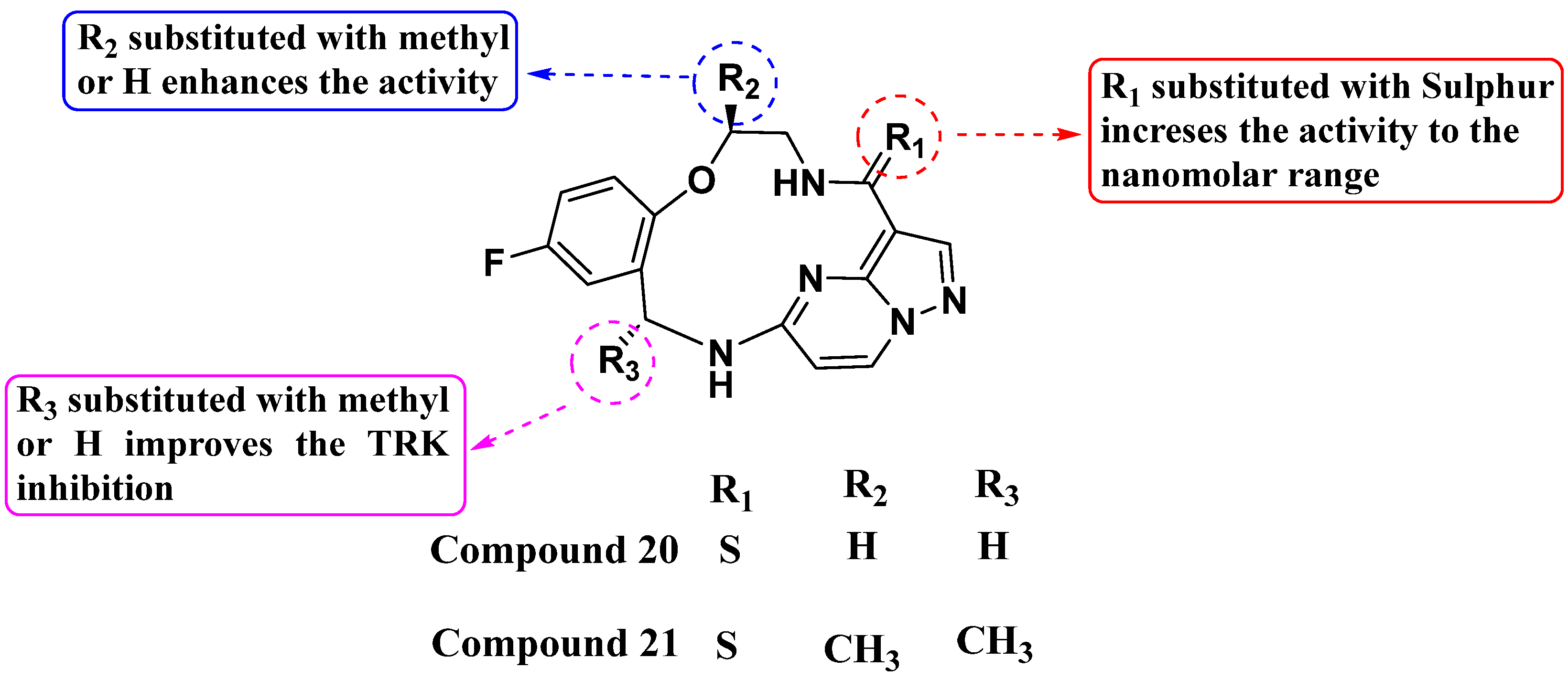 Molecules 29 03560 g011