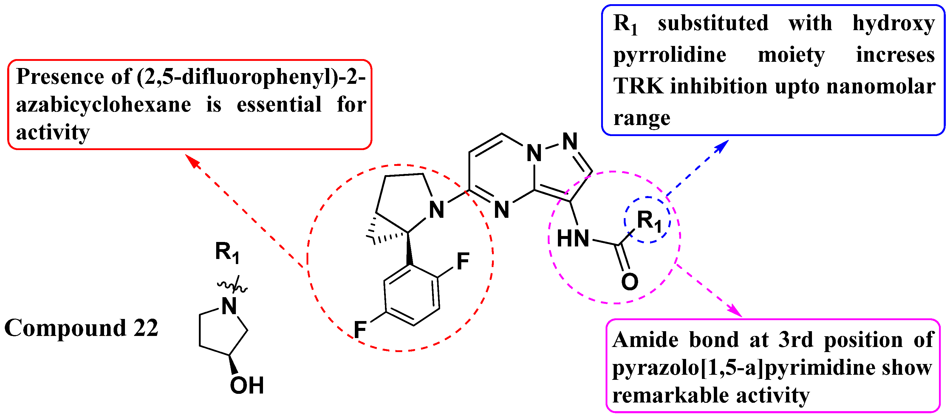 Molecules 29 03560 g012