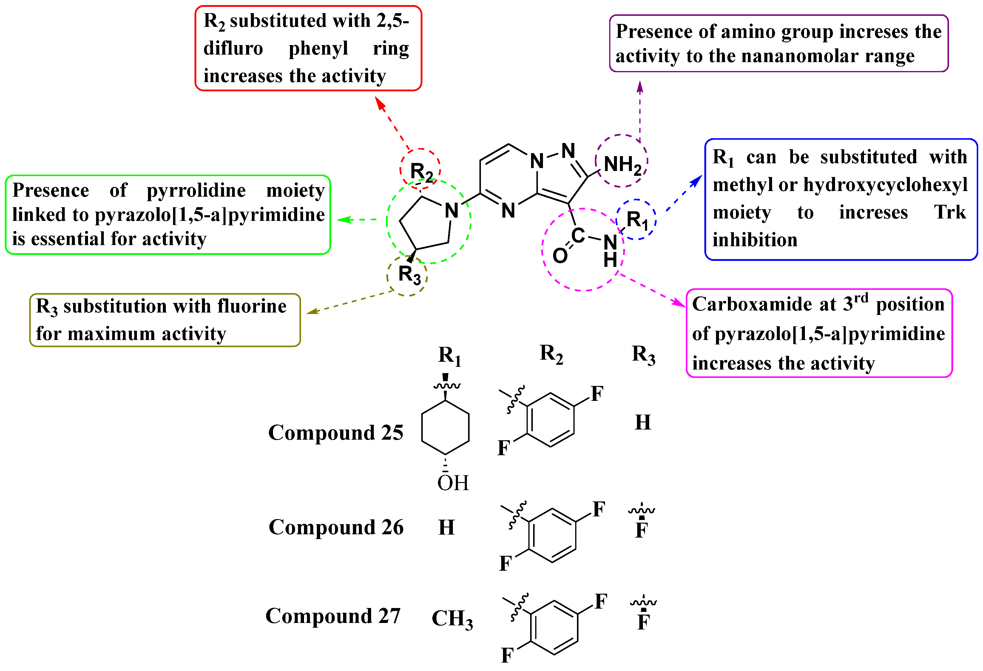 Molecules 29 03560 g014