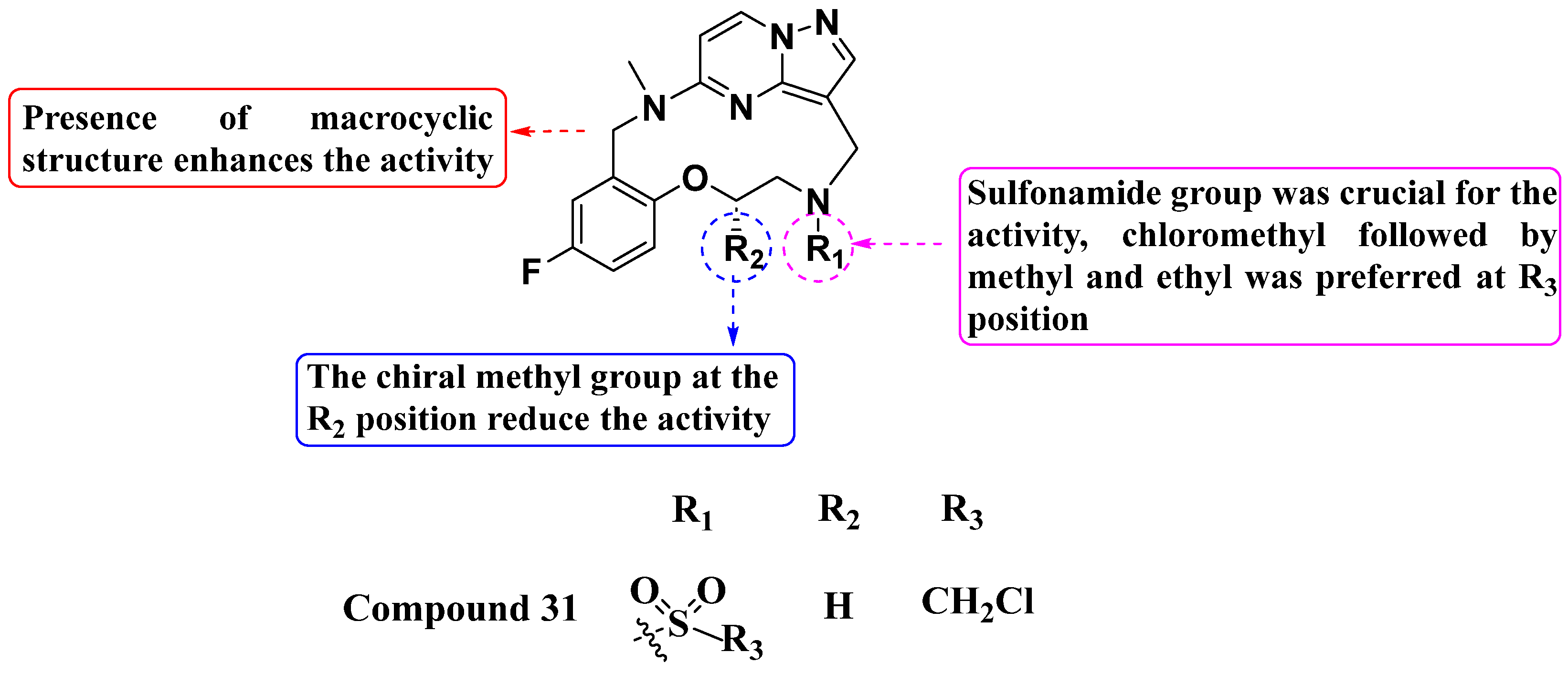 Molecules 29 03560 g017