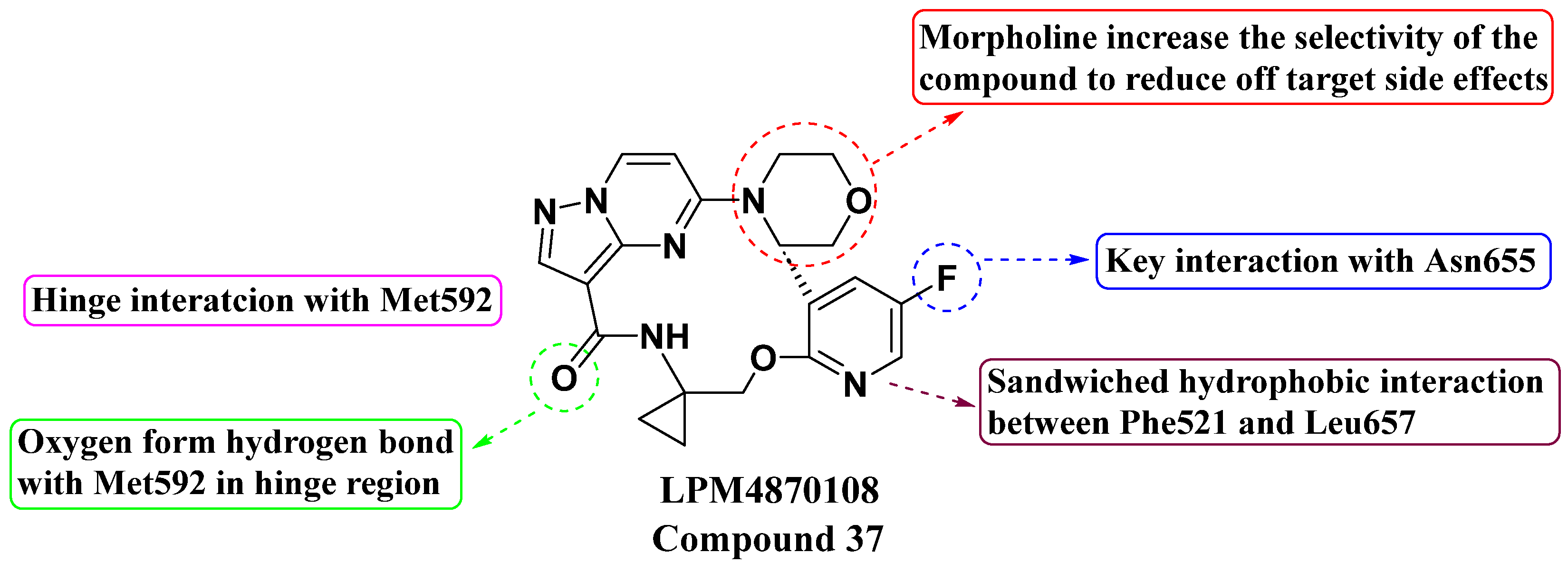 Molecules 29 03560 g019