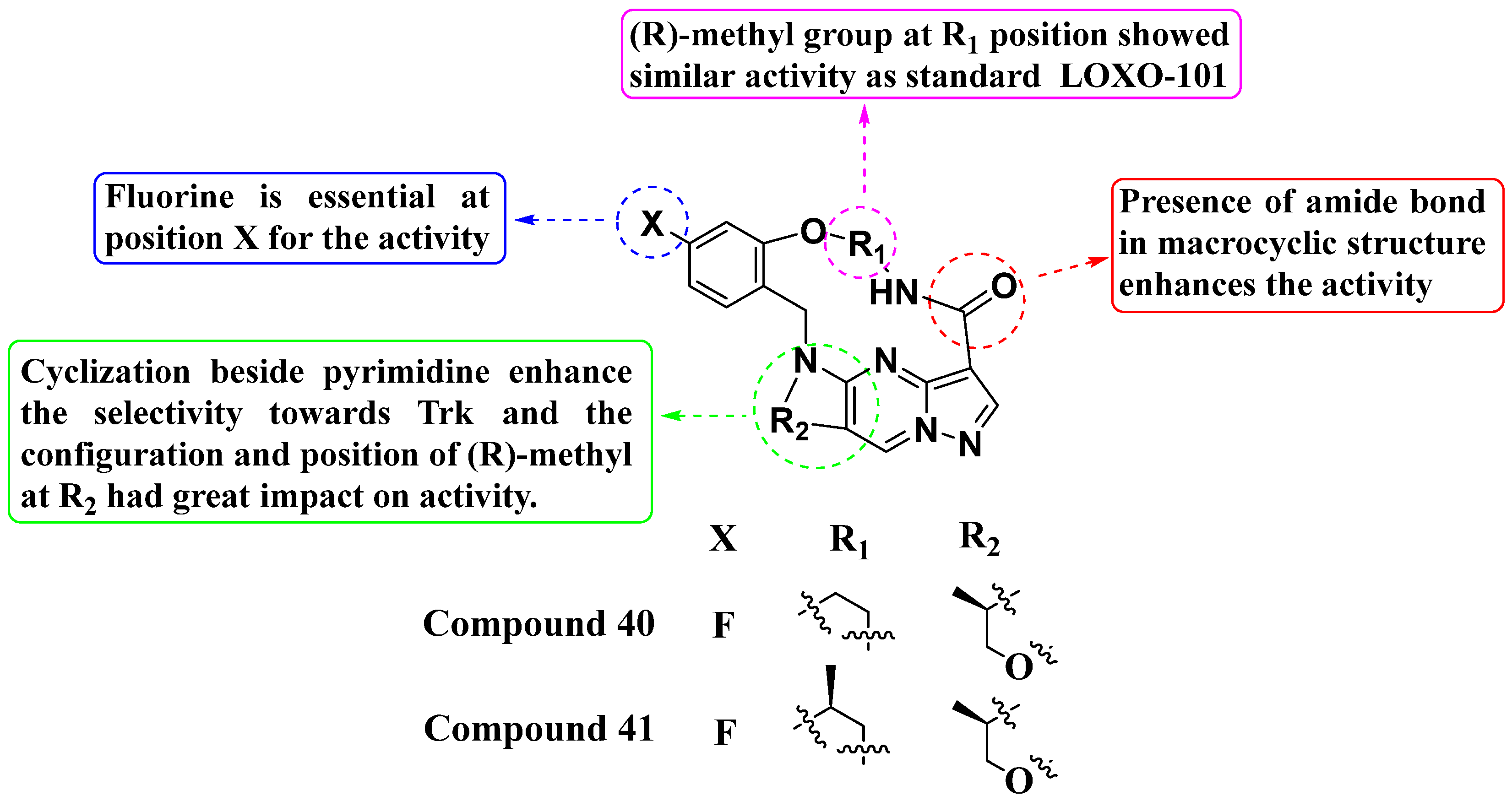 Molecules 29 03560 g021