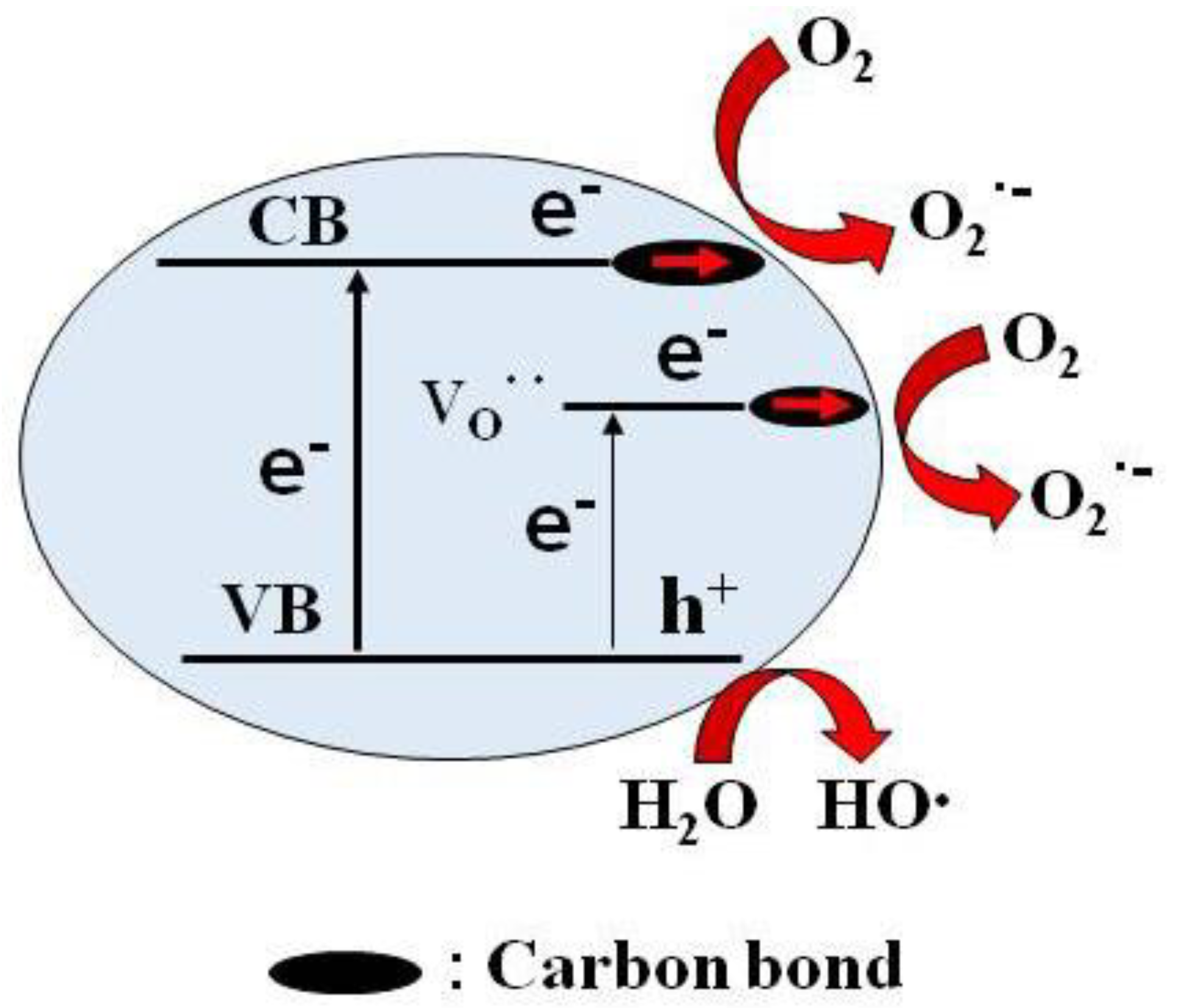 Molecules 29 03568 g012
