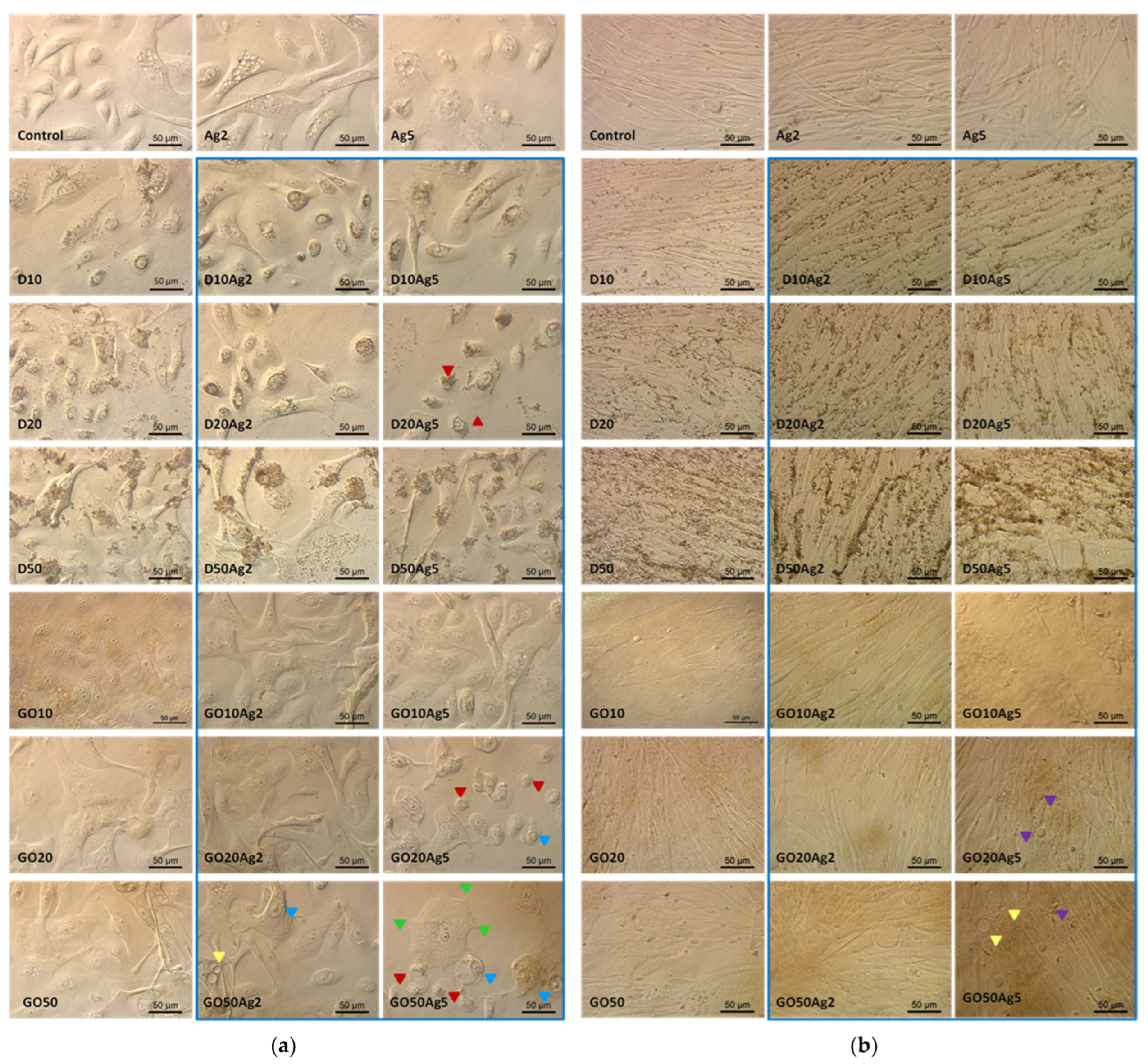 Molecules 29 03581 g012