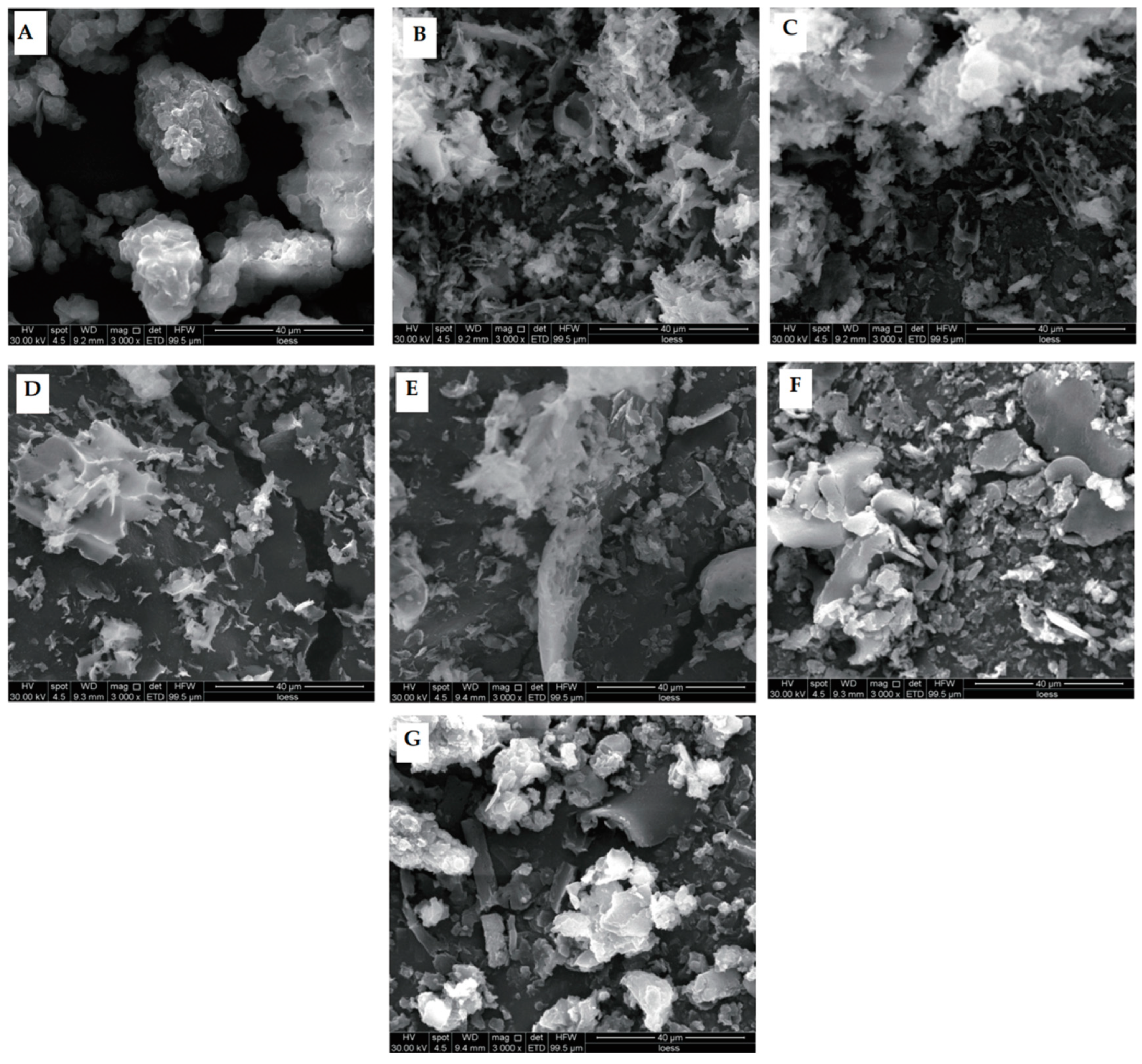 Molecules 29 03590 g004