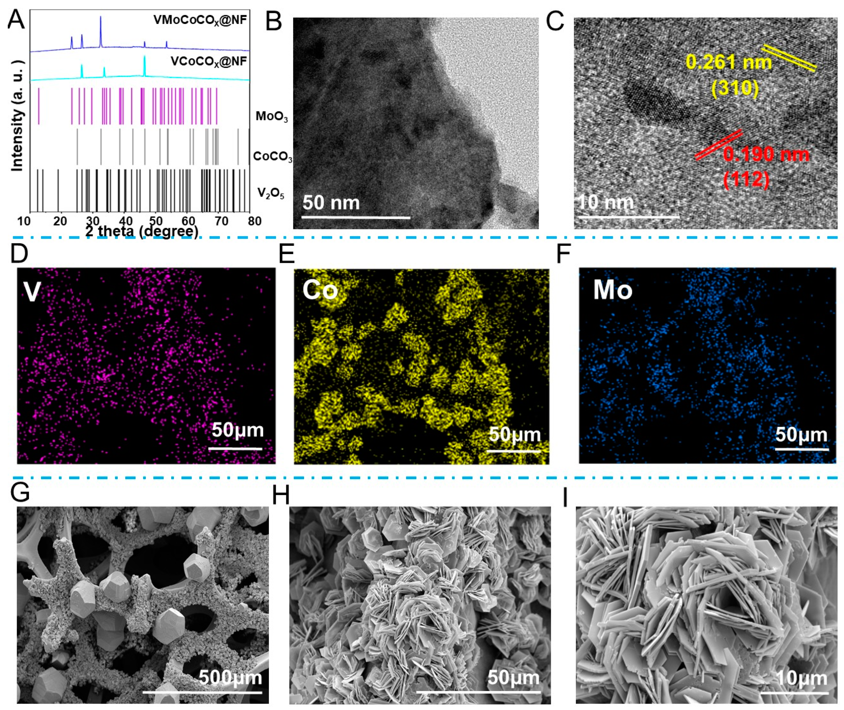 Molecules 29 03591 g001