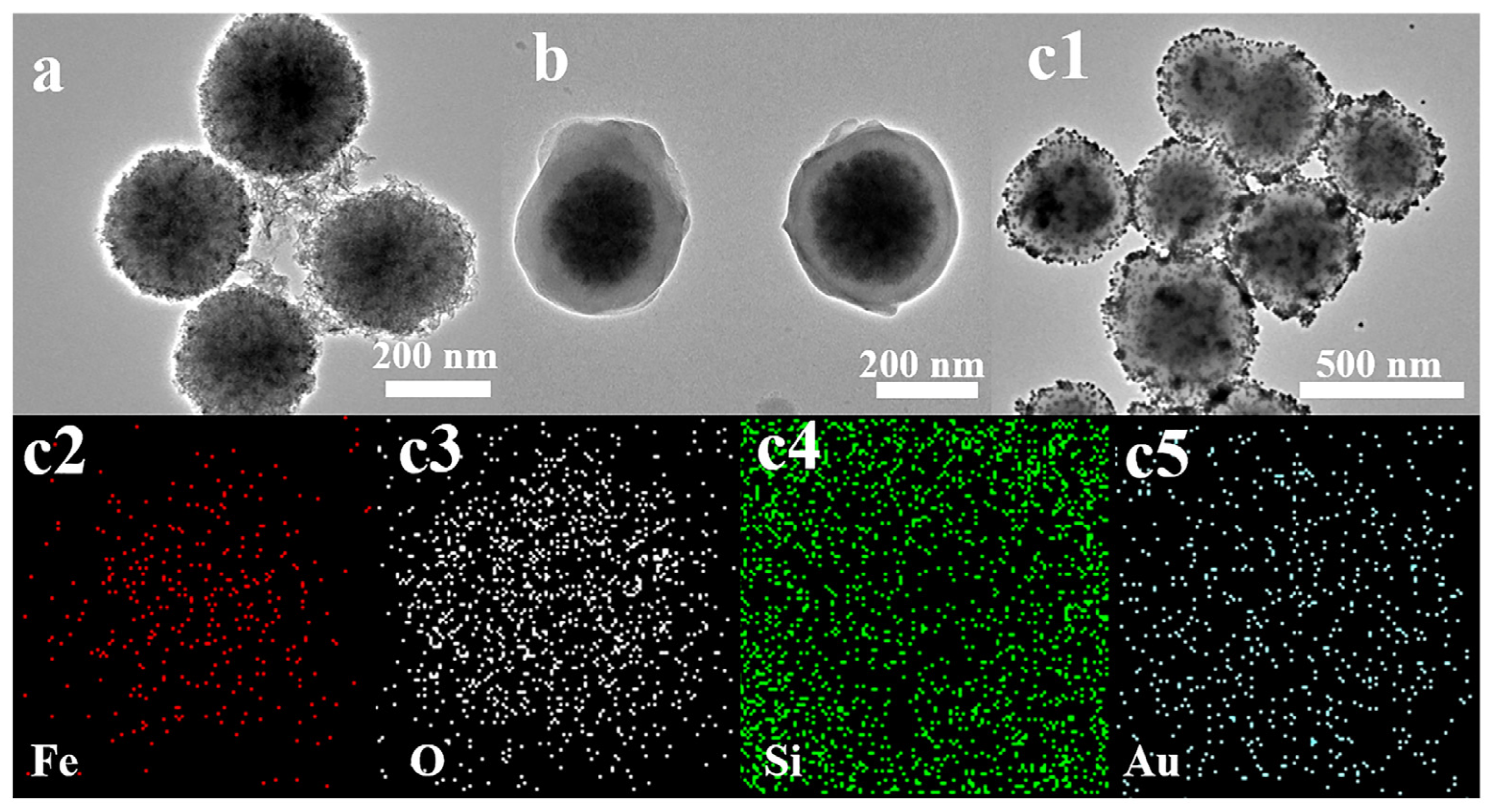 Molecules 29 03593 g001