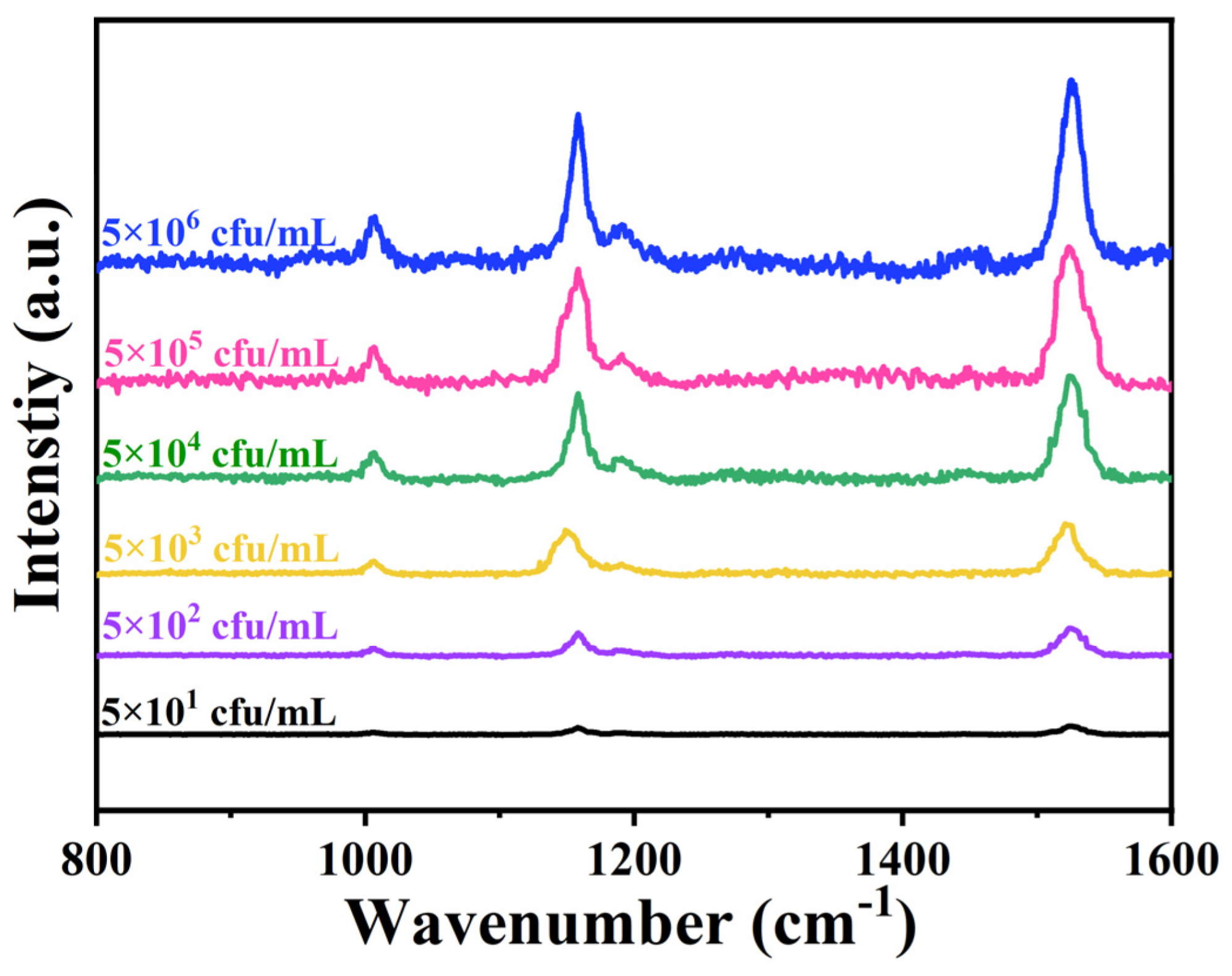 Molecules 29 03593 g005