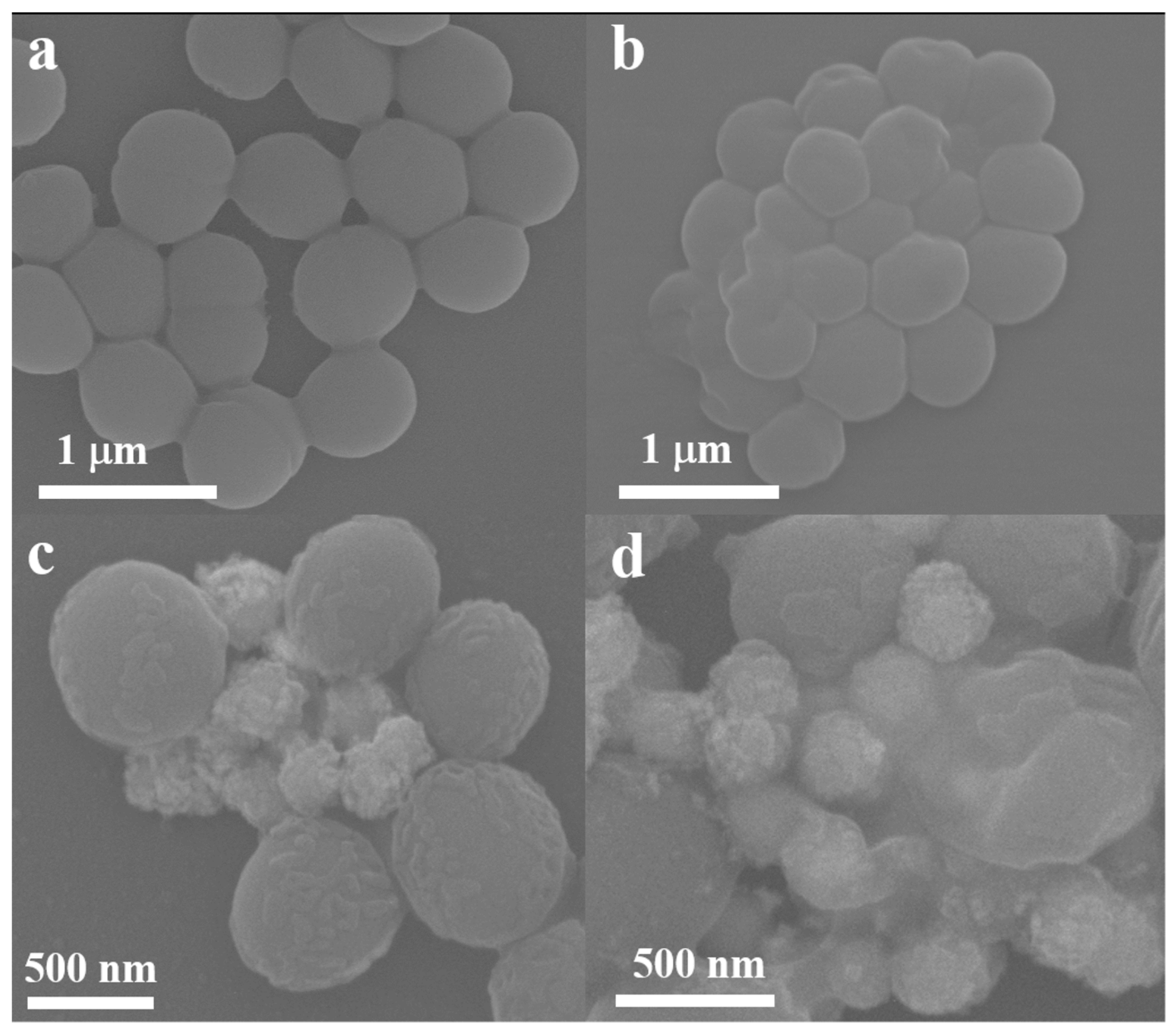 Molecules 29 03593 g008