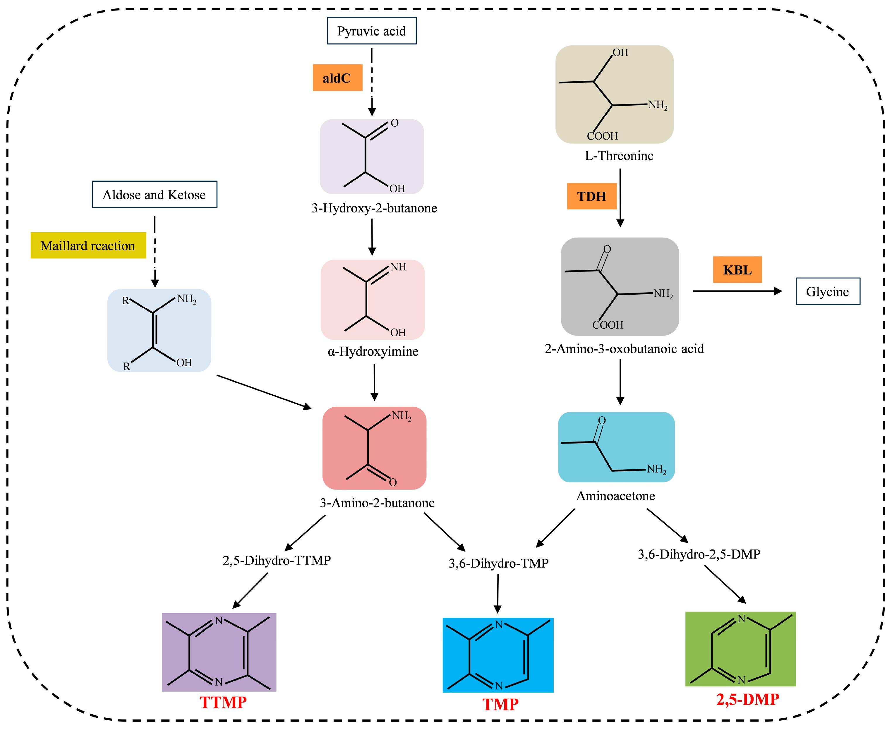 【2024】お歳暮・冬ギフト Progress on the Synthesis Pathways and Pharmacological トライアルセット・サンプル