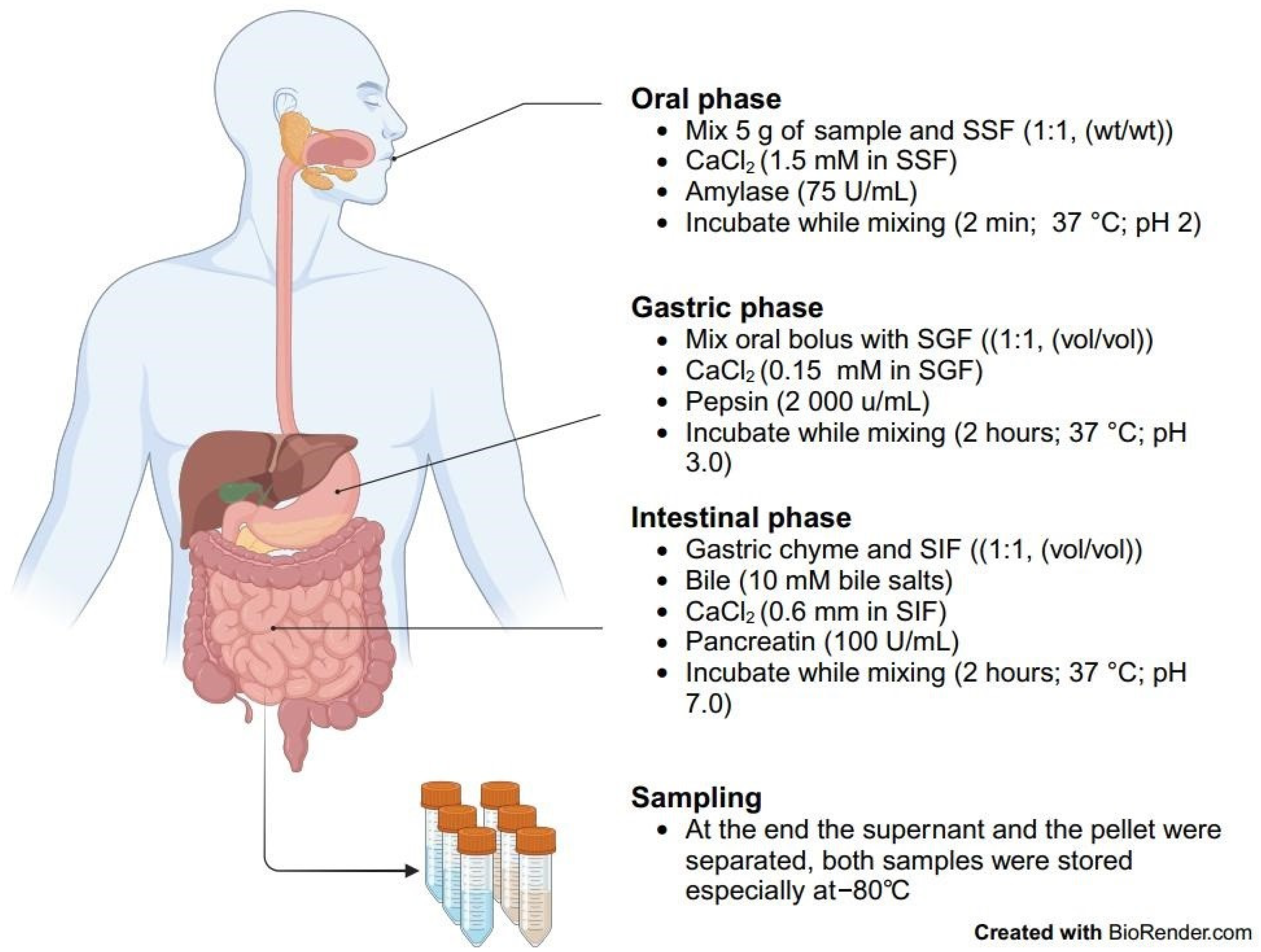 Molecules 29 03598 g001