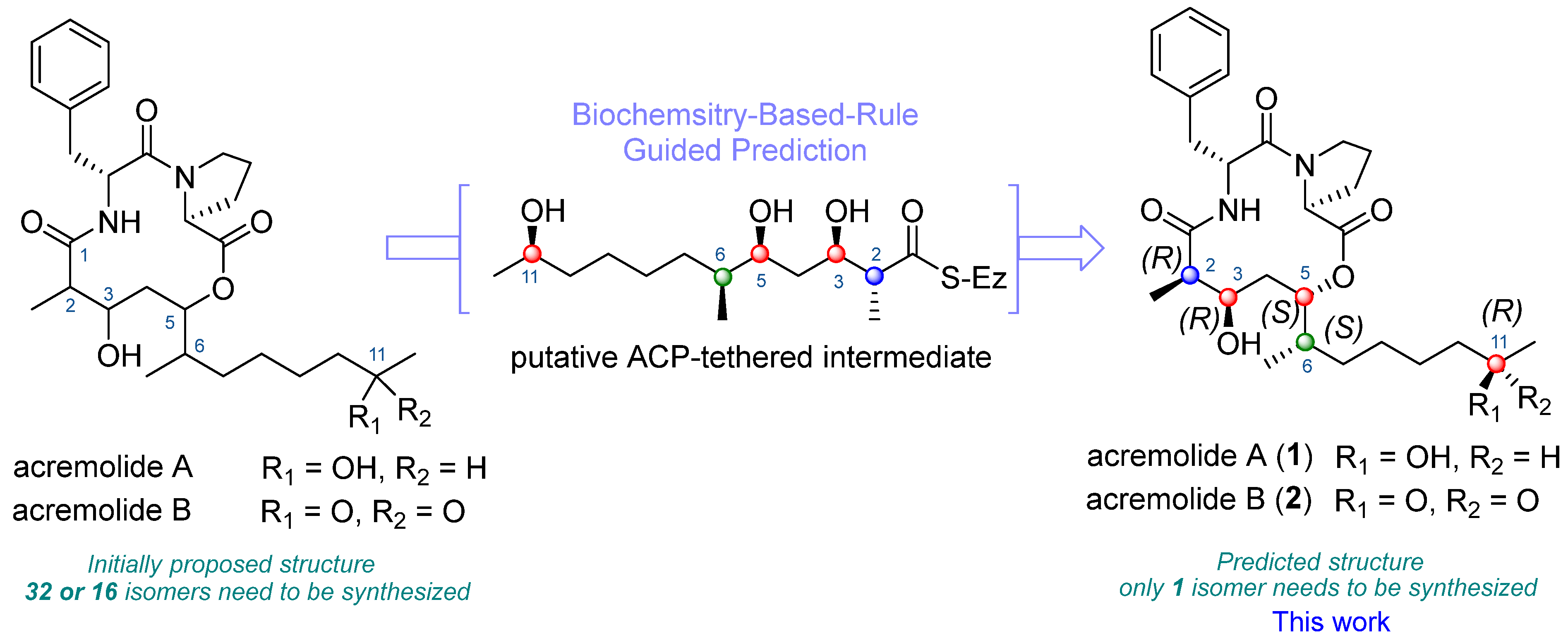 Molecules 29 03599 g001
