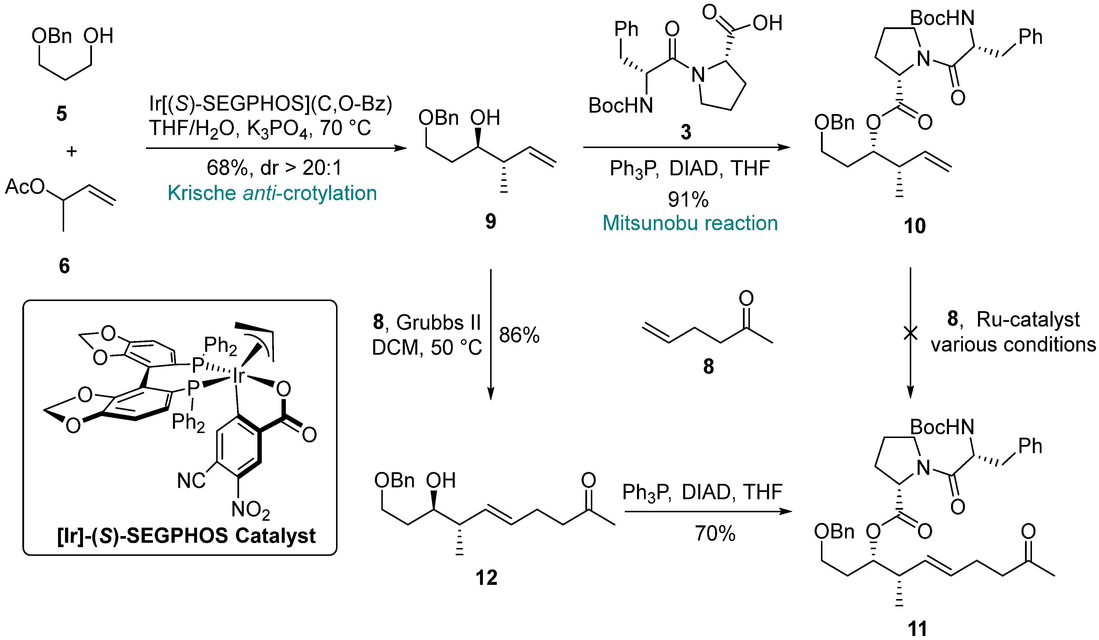 Molecules 29 03599 sch002