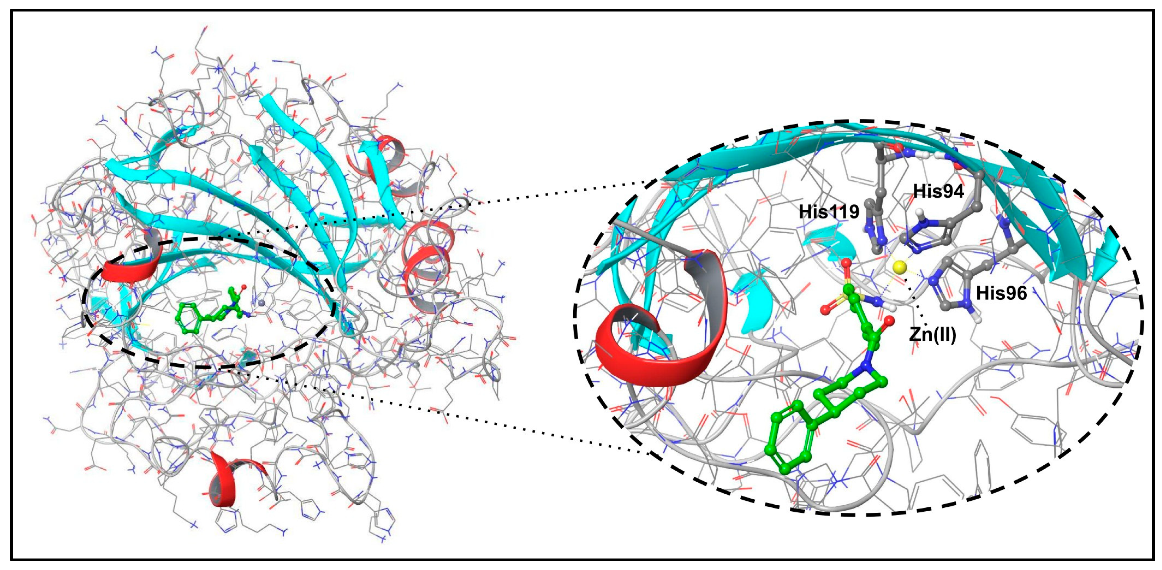 Molecules 29 03600 g001