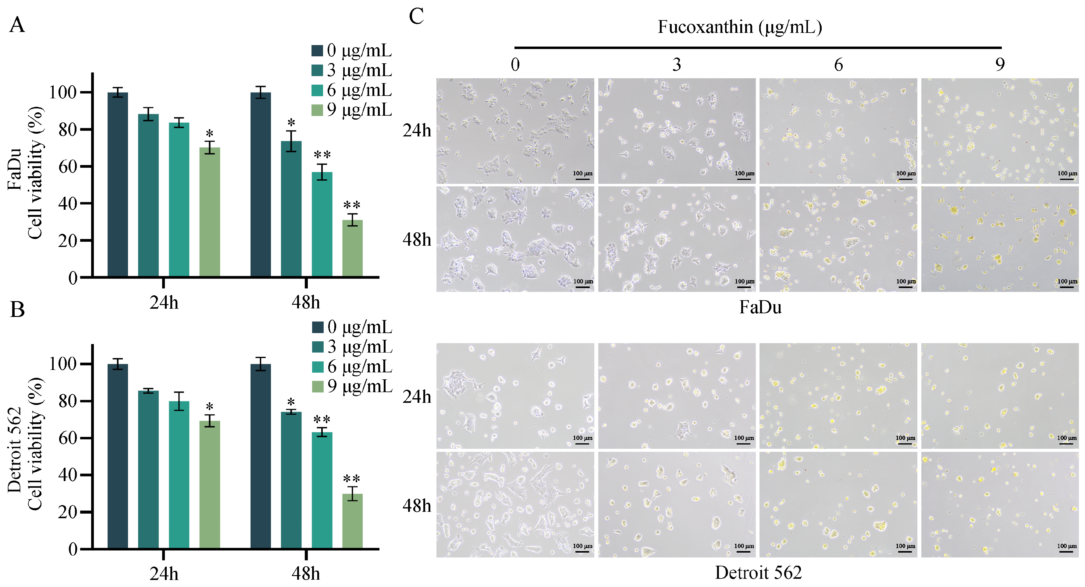 Molecules 29 03603 g002