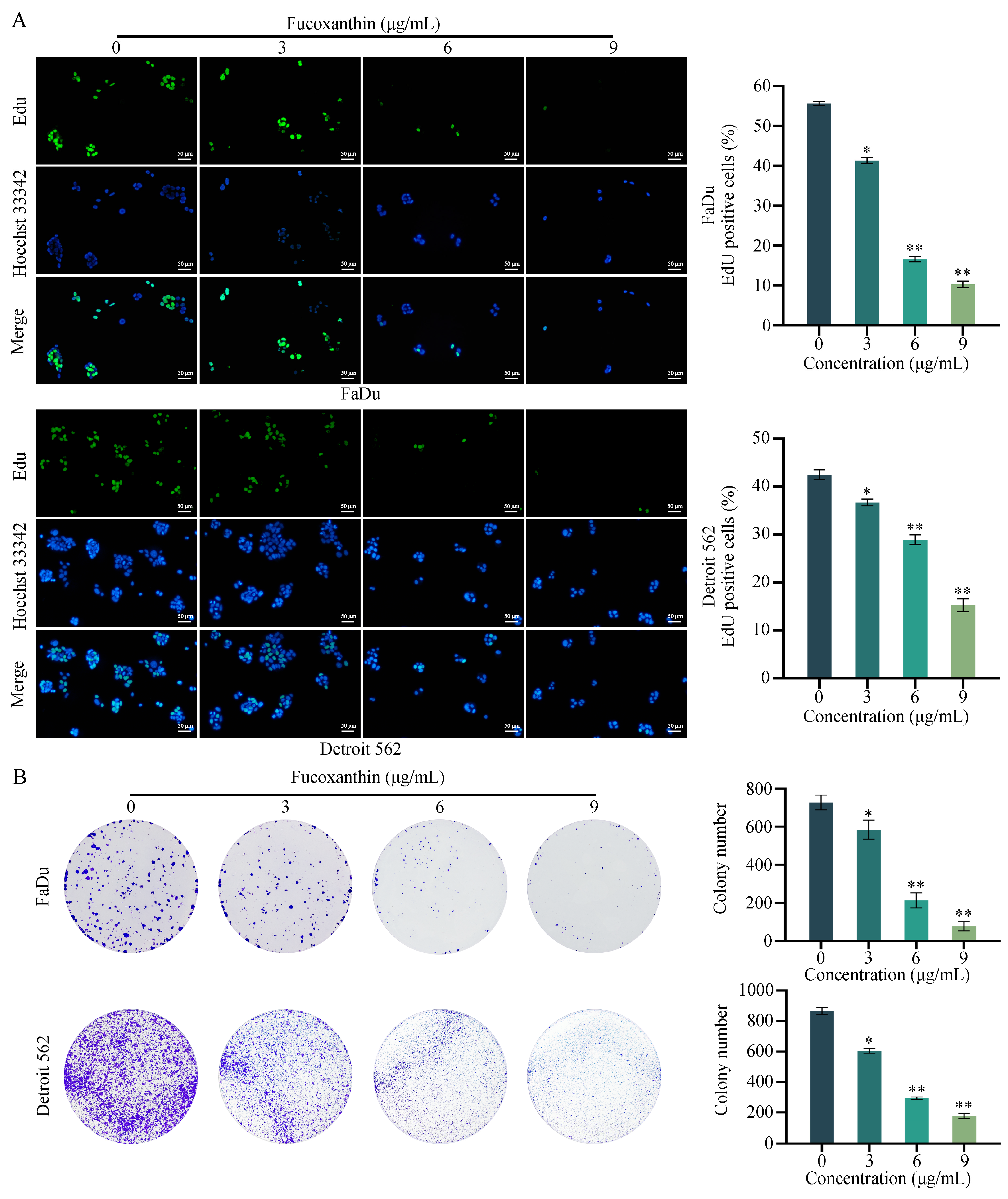 Molecules 29 03603 g003