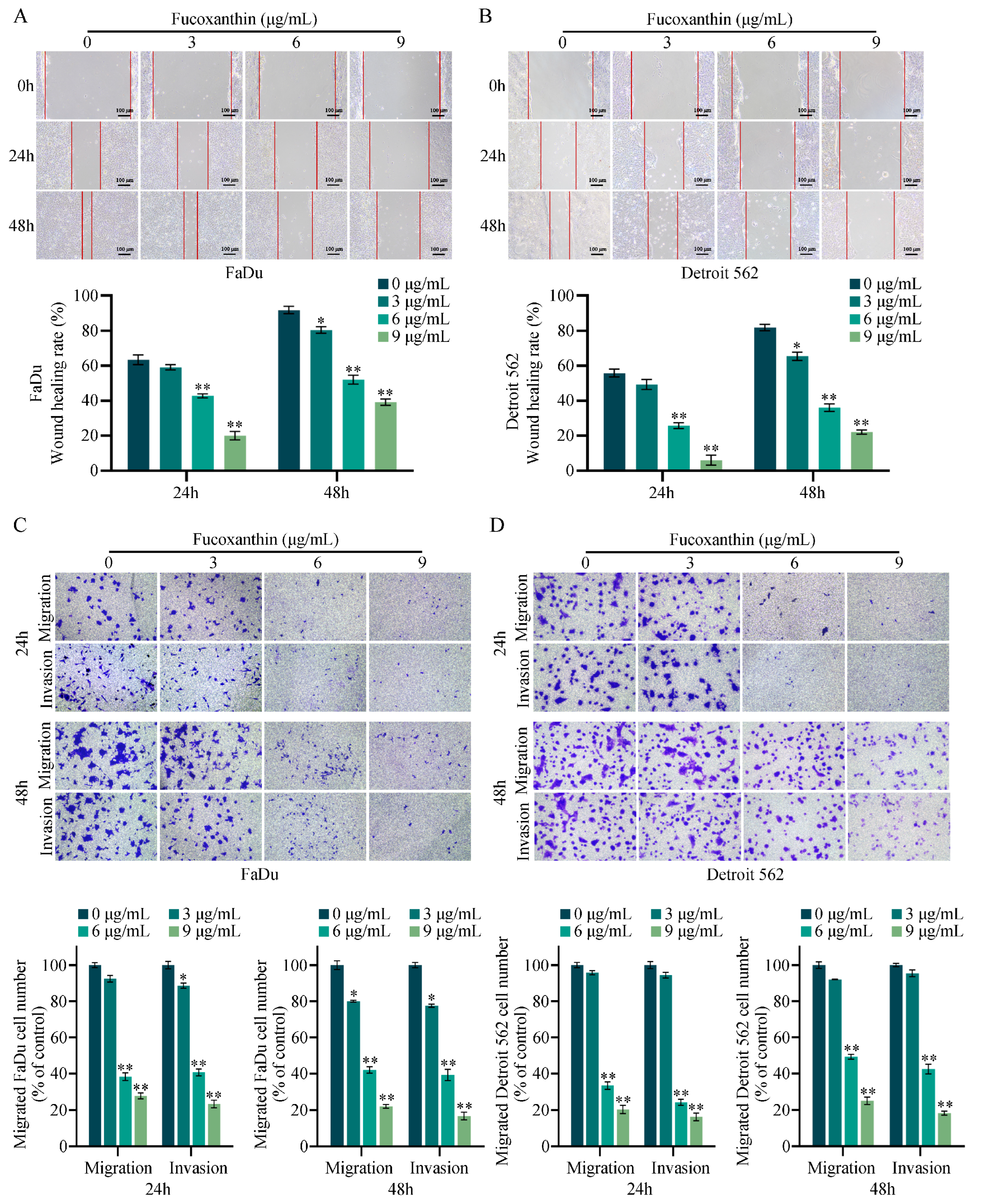 Molecules 29 03603 g004