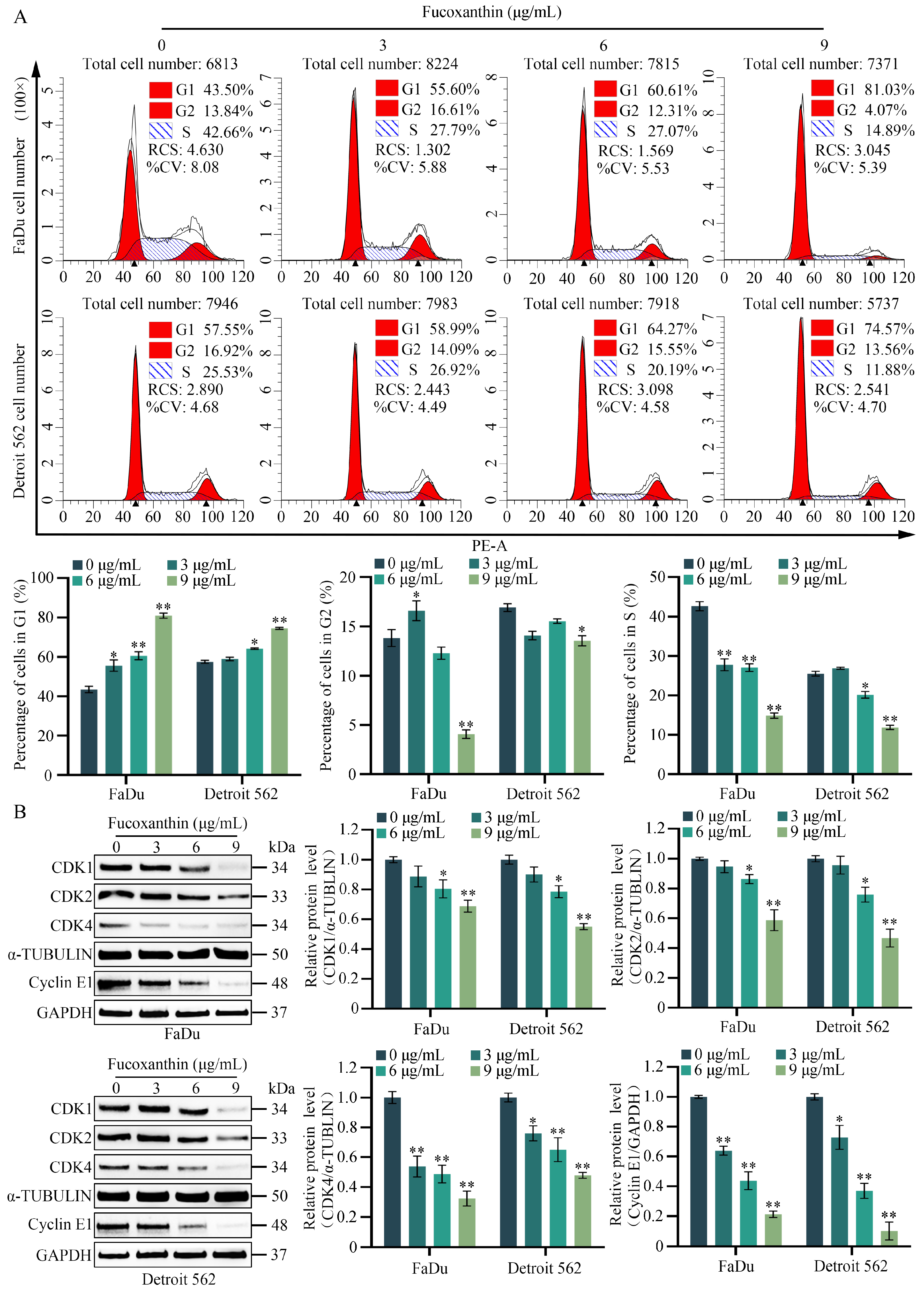 Molecules 29 03603 g005