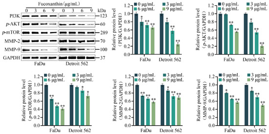 Fucoxanthin Inhibits the Proliferation and Metastasis of Human
