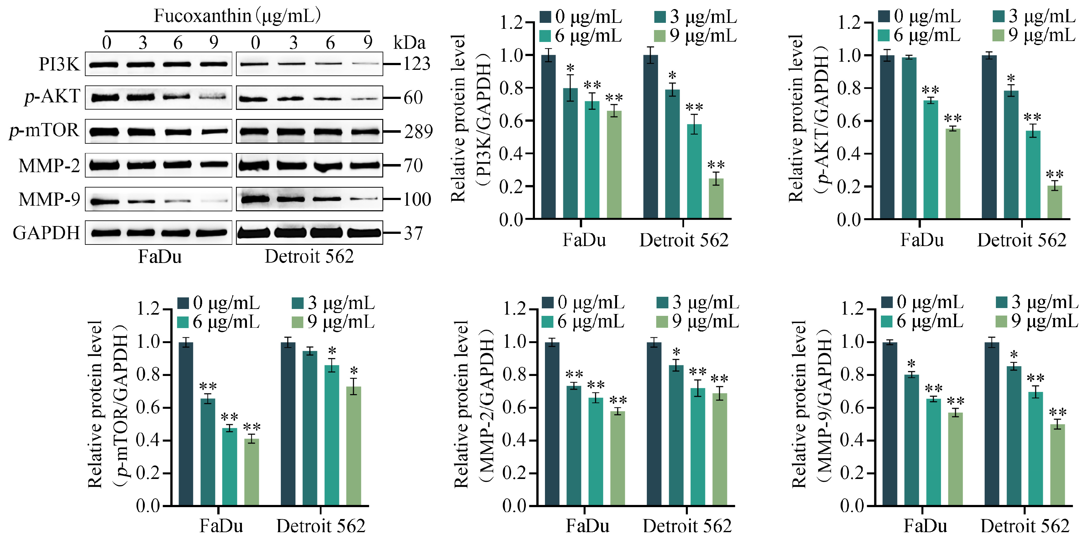 Molecules 29 03603 g006