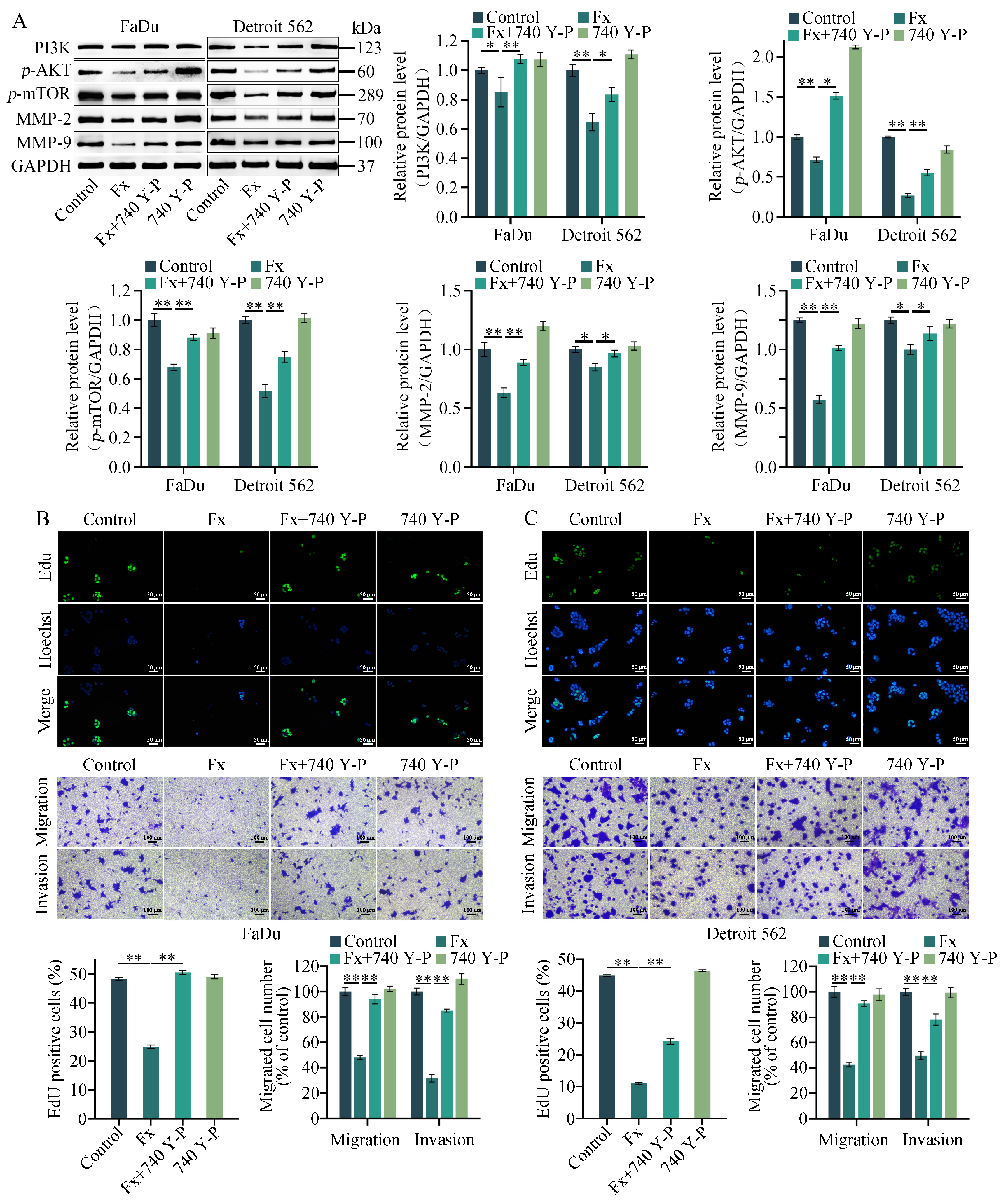 Molecules 29 03603 g007