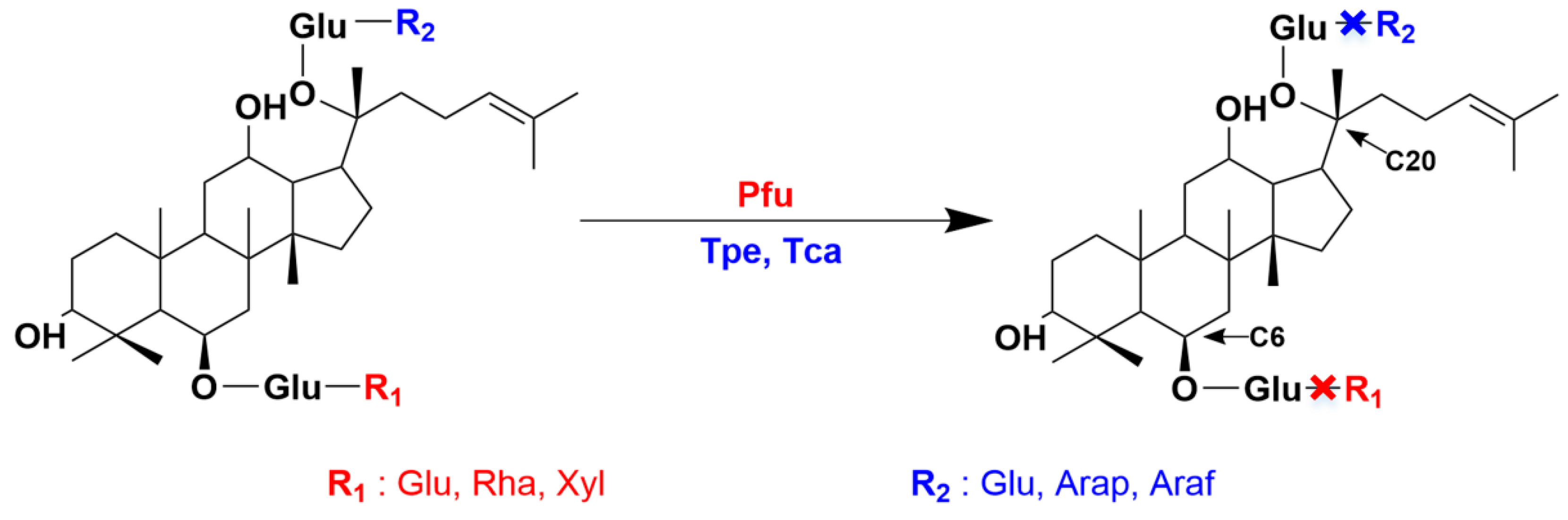 Molecules 29 03614 g001